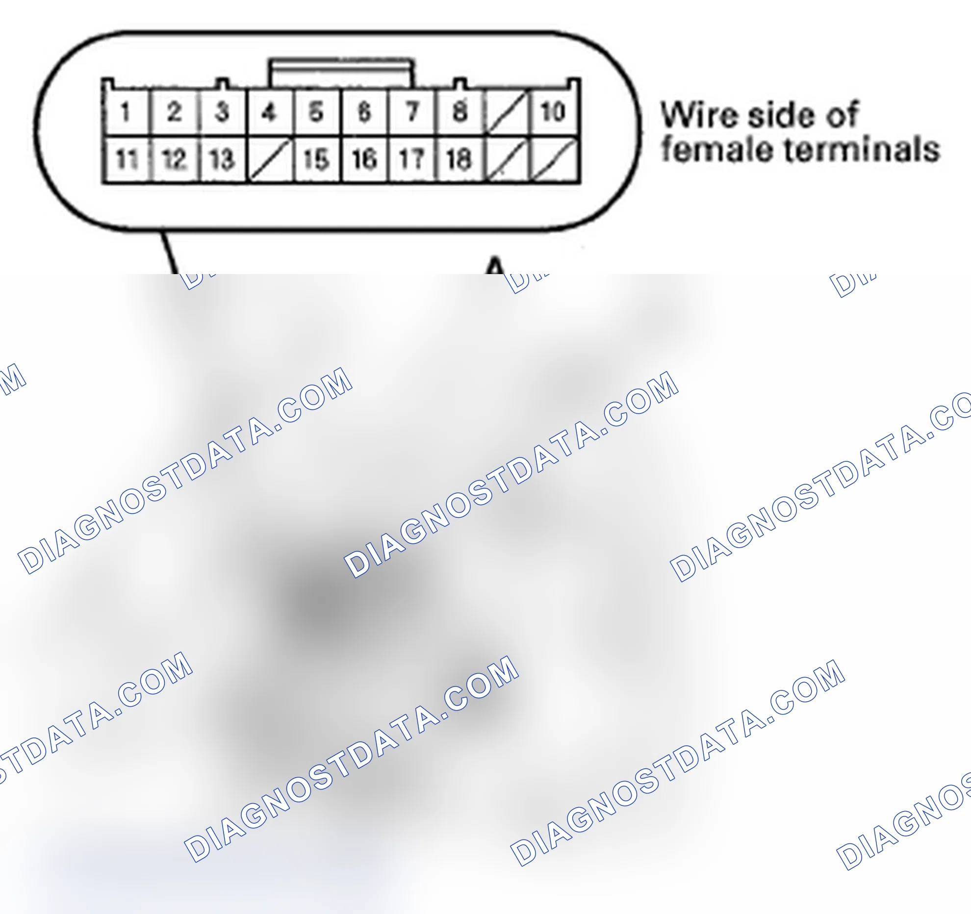 Scheme 5: Horn Switch Test