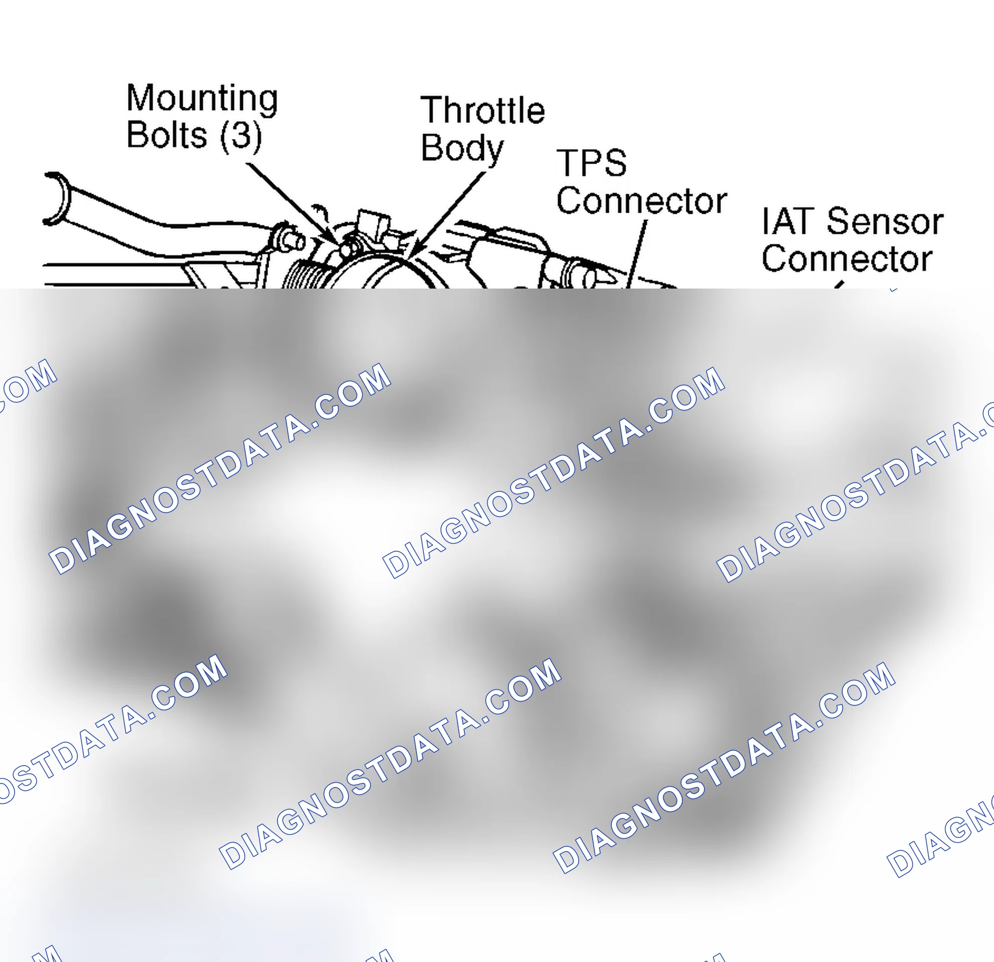 Scheme 1024: INTAKE AIR TEMPERATURE SENSOR