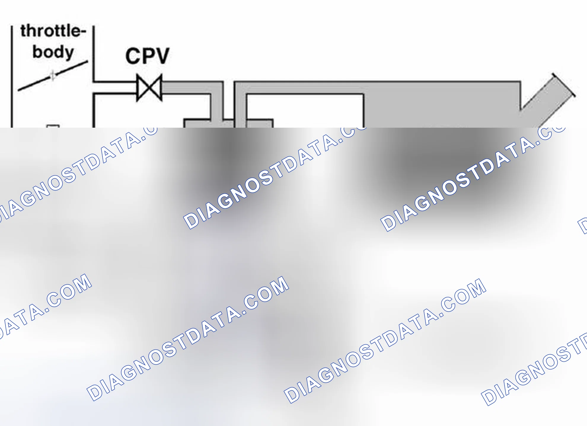 Scheme 357