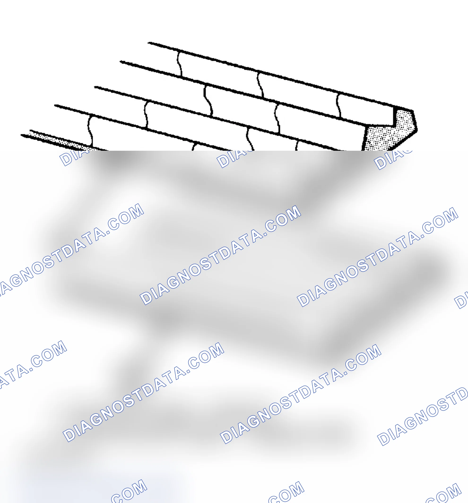 Scheme 8: DRIVE BELTS