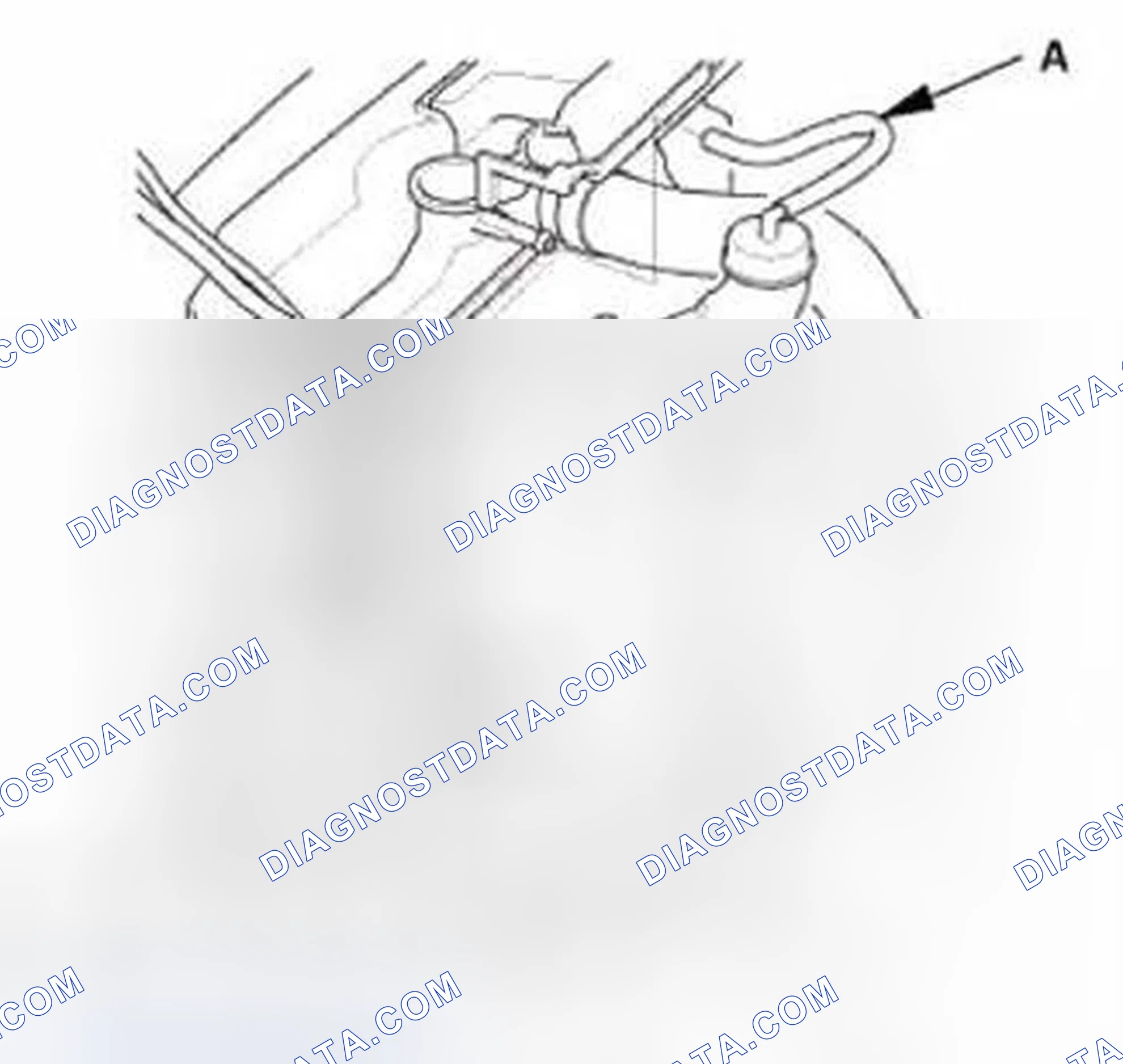 Scheme 304