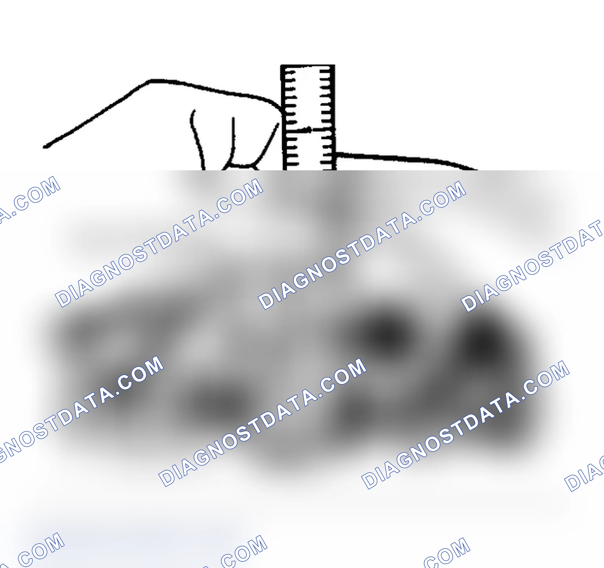 Scheme 16: Checking Valve Spring Installed Height Valve spring height should be 1.575" (40 mm).