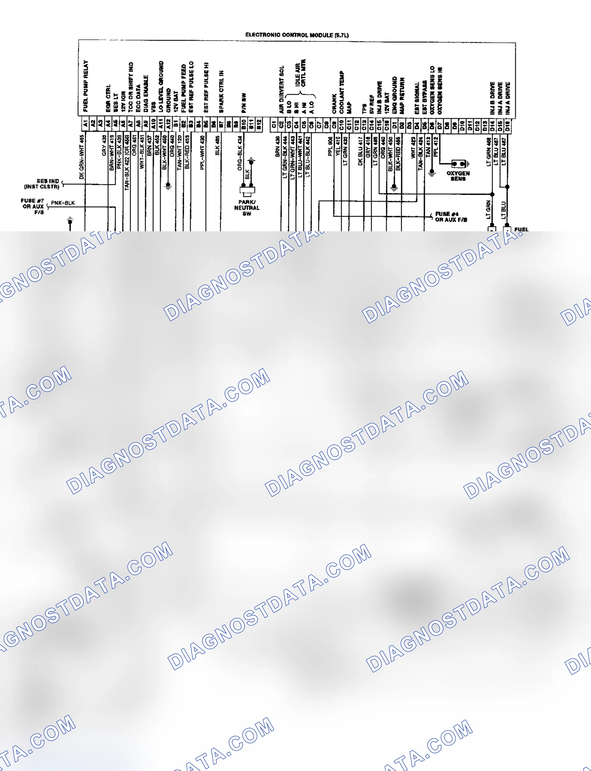 Scheme 19: "P" Series TBI/CCC Wiring Diagram