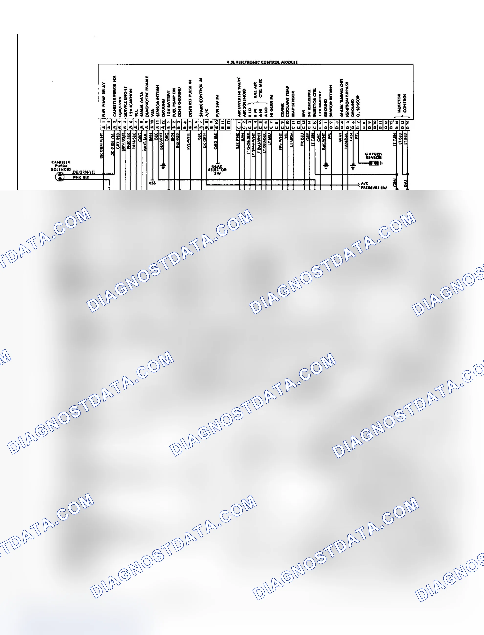 Scheme 41: 4.3L Throttle Body Fuel Injection Wiring Diagram