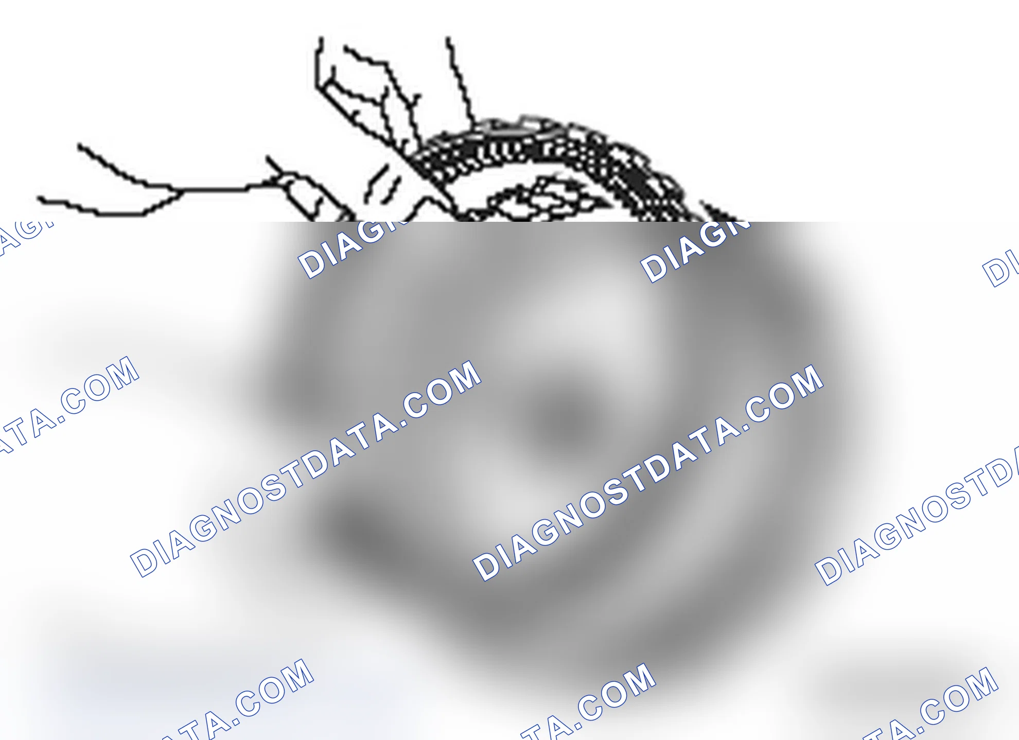 Scheme 251: << B >> INTERNAL GEAR REMOVAL