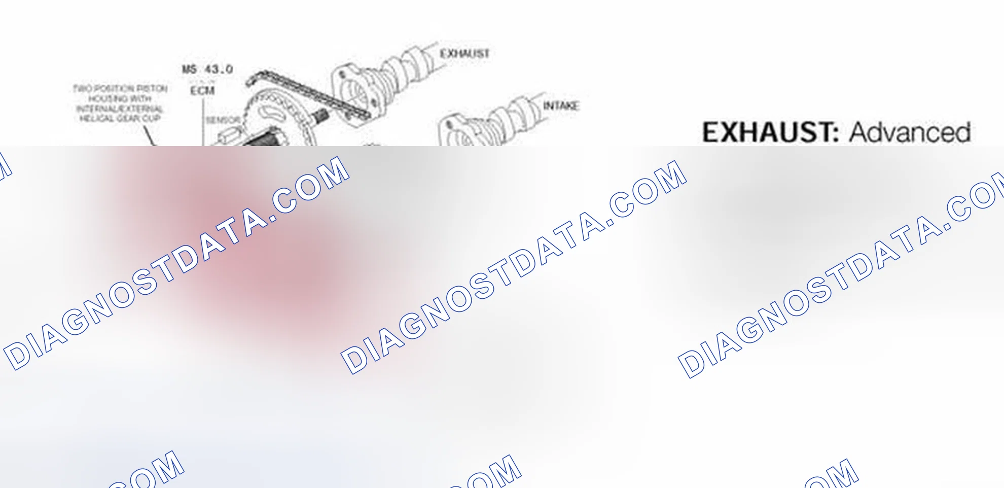 Scheme 1307