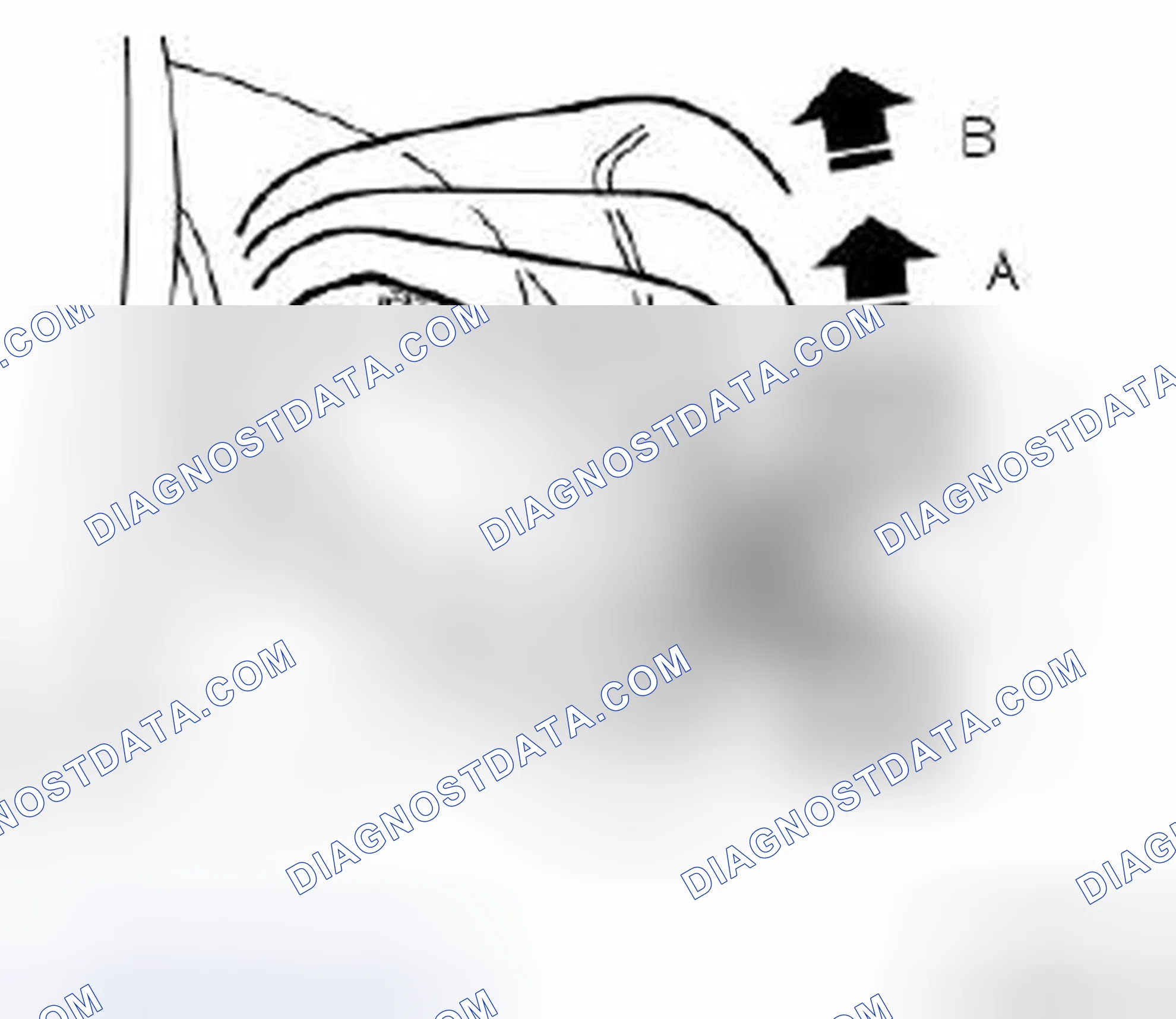 Scheme 7