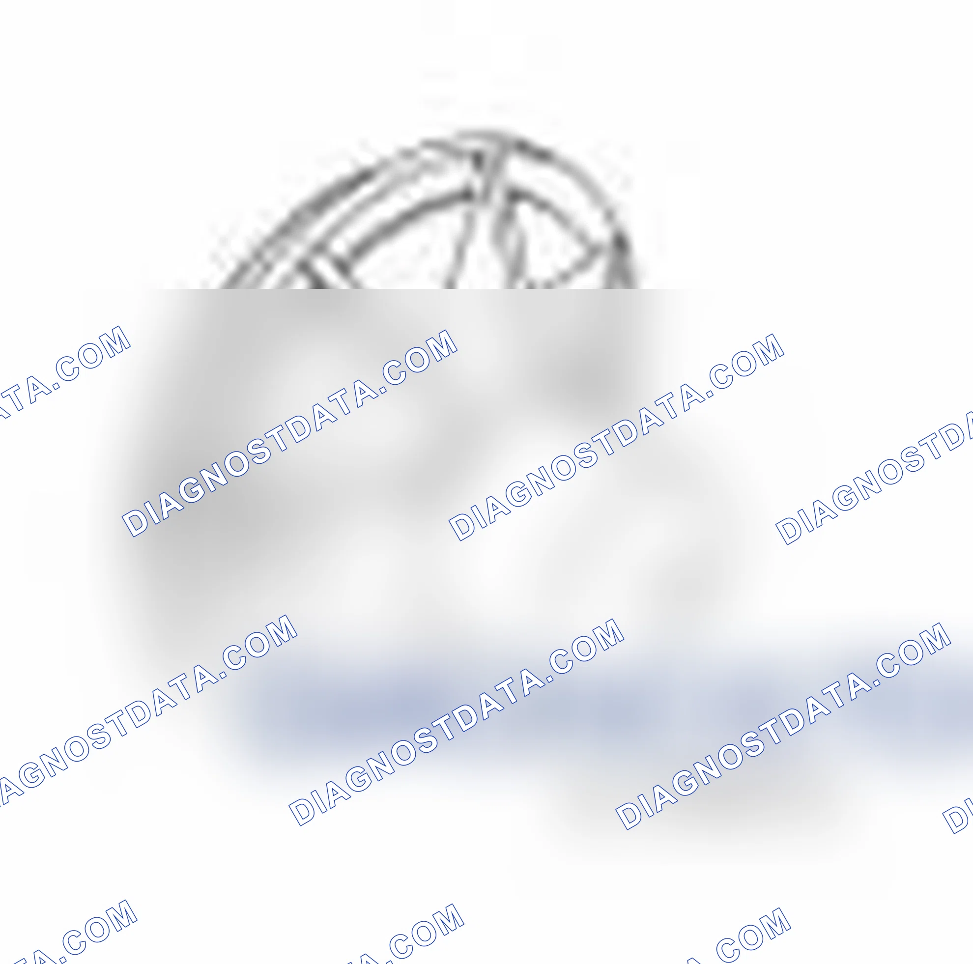 Scheme 425: Crankshaft Rear Seal