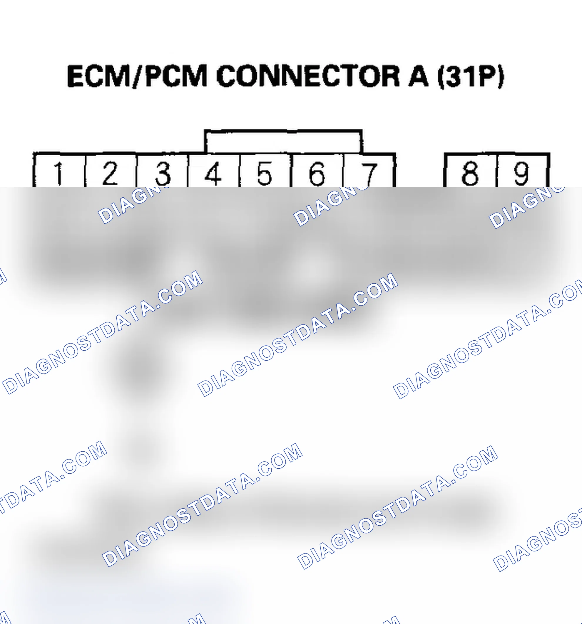Scheme 383