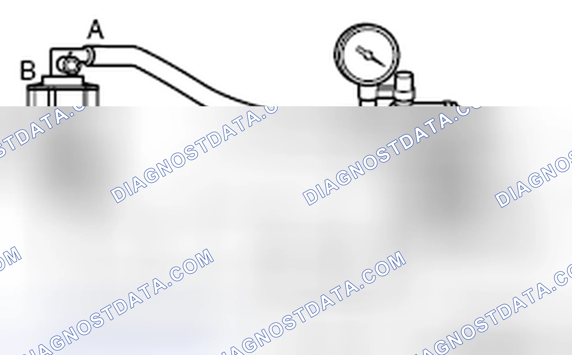 Scheme 10: EVAPORATIVE EMISSION PURGE SOLENOID CHECK