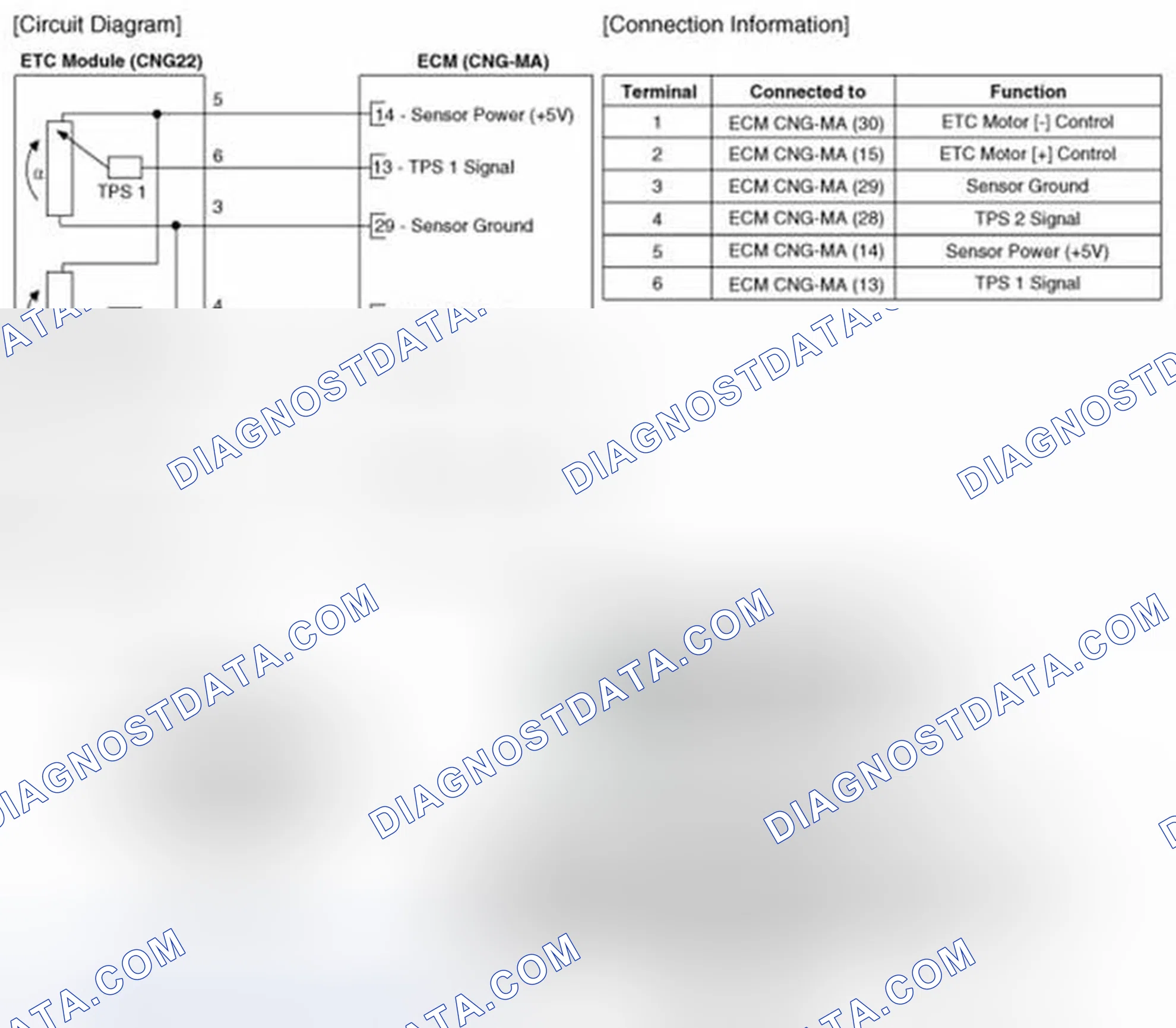 Scheme 5: (M/T)