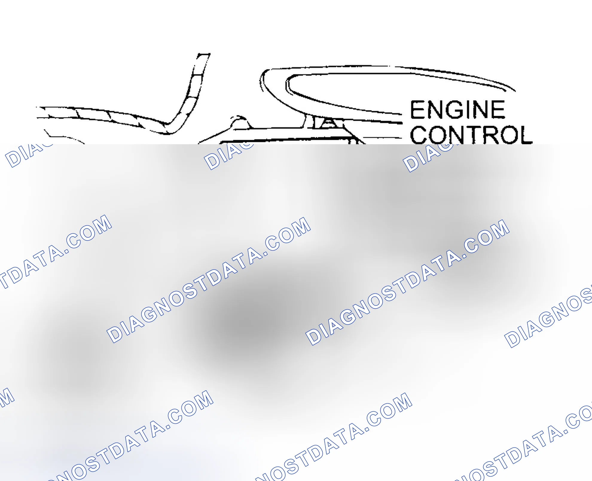 Scheme 5