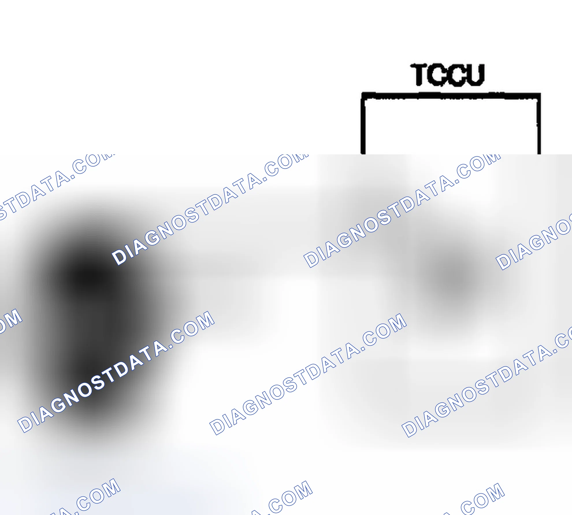Scheme 13: GENERAL DESCRIPTION