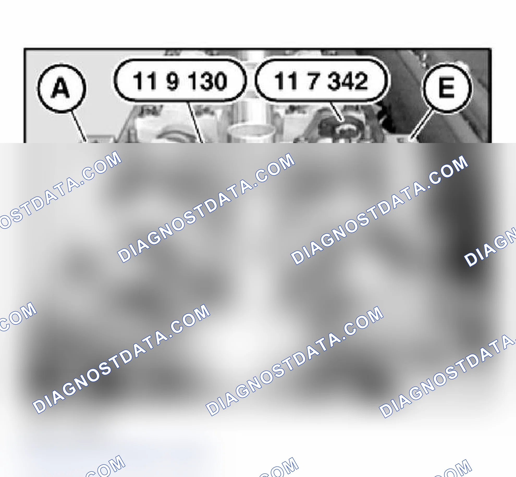 Scheme 248