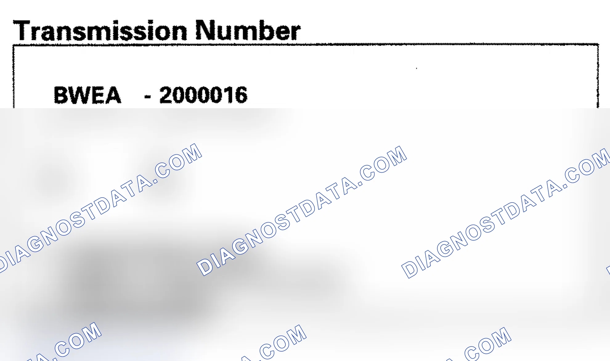 Scheme 9: Identifying Transmission Number ('09 Model)