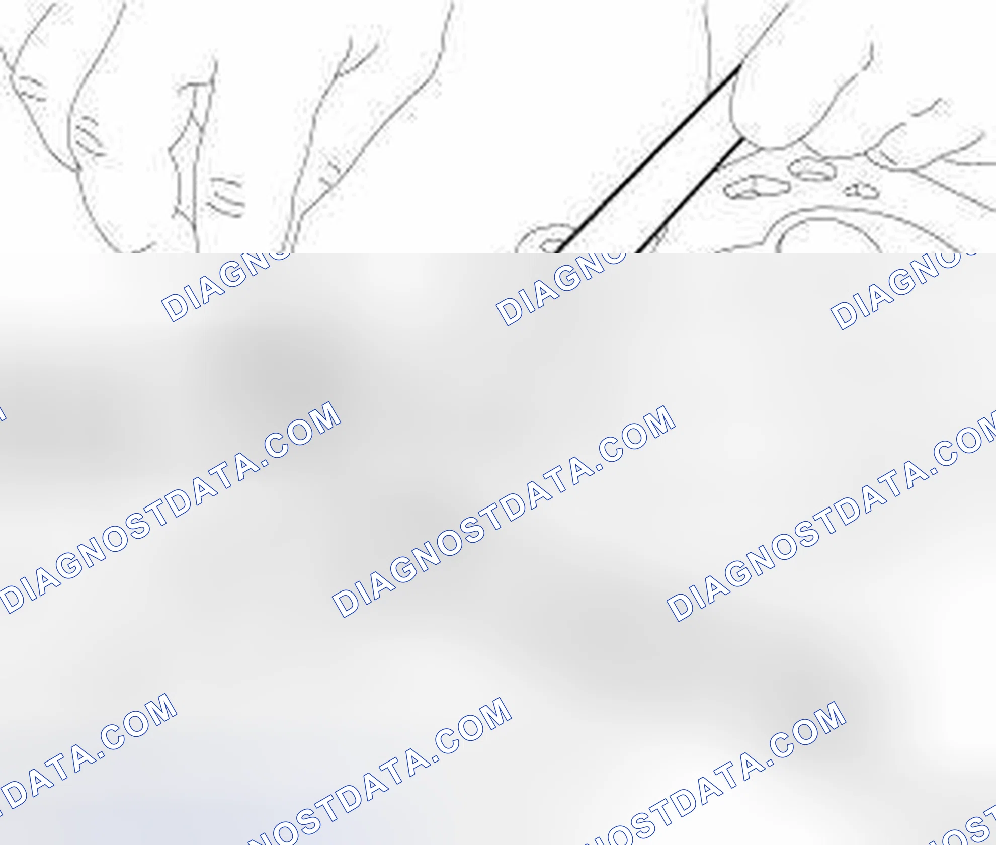 Scheme 309: INSPECTION