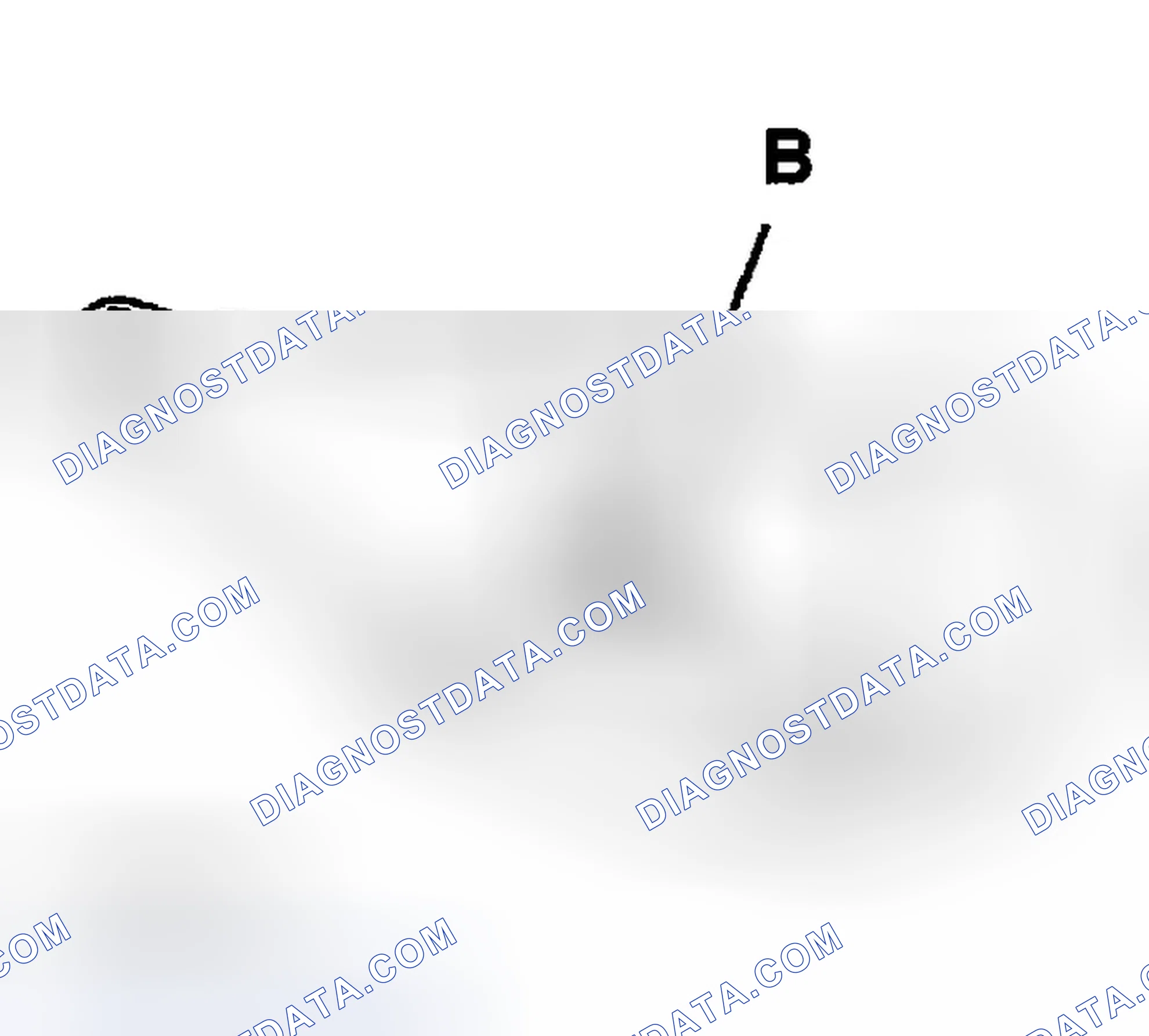 Scheme 5