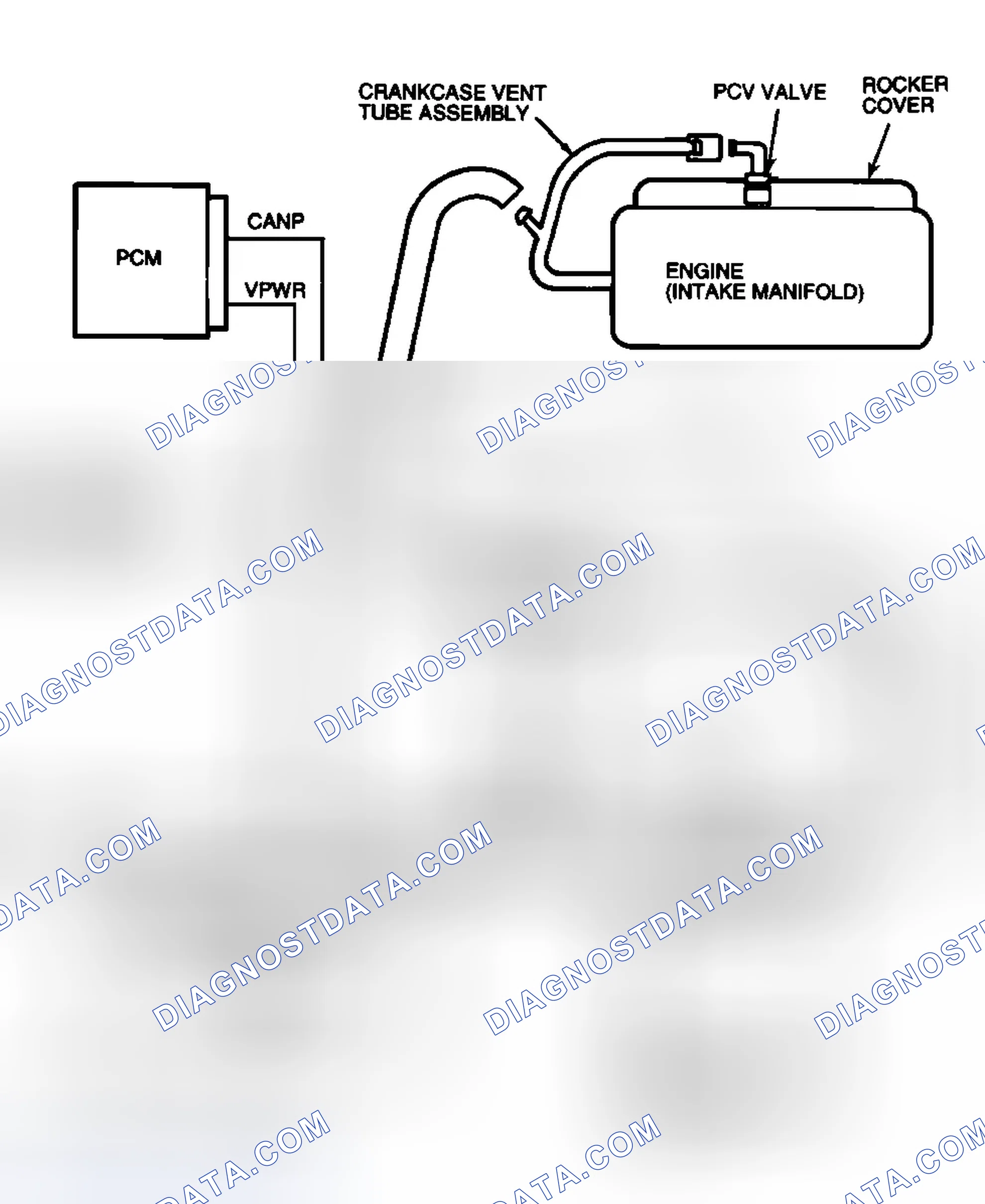 Scheme 32: Identifying EVAP System Components