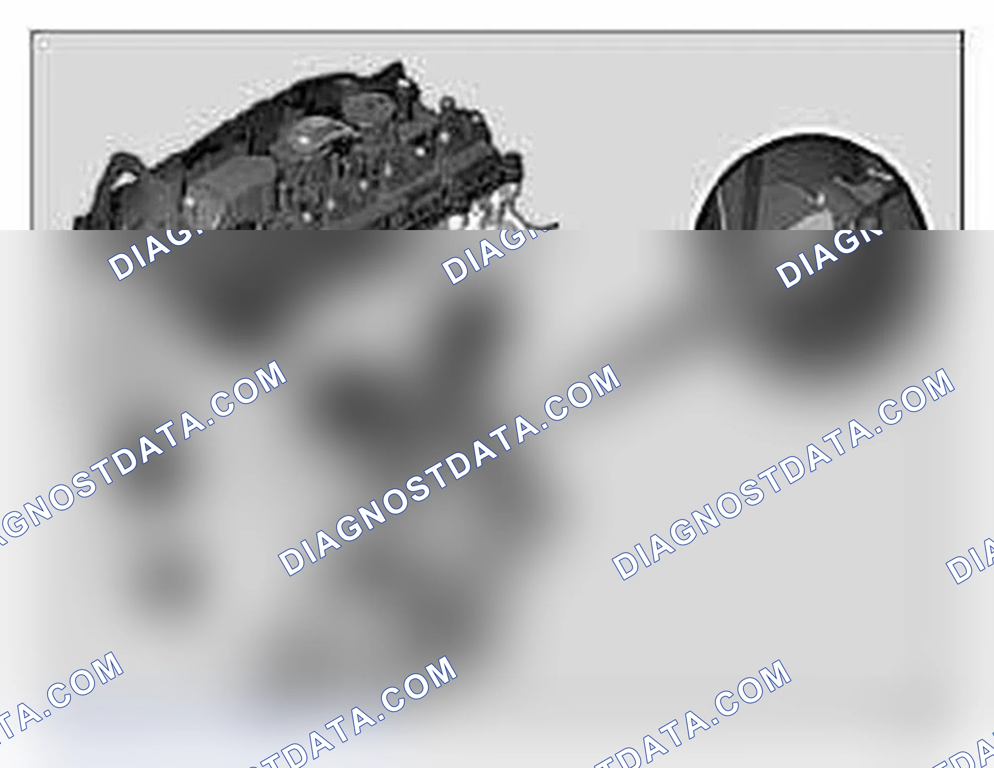 Scheme 404: Engine identification