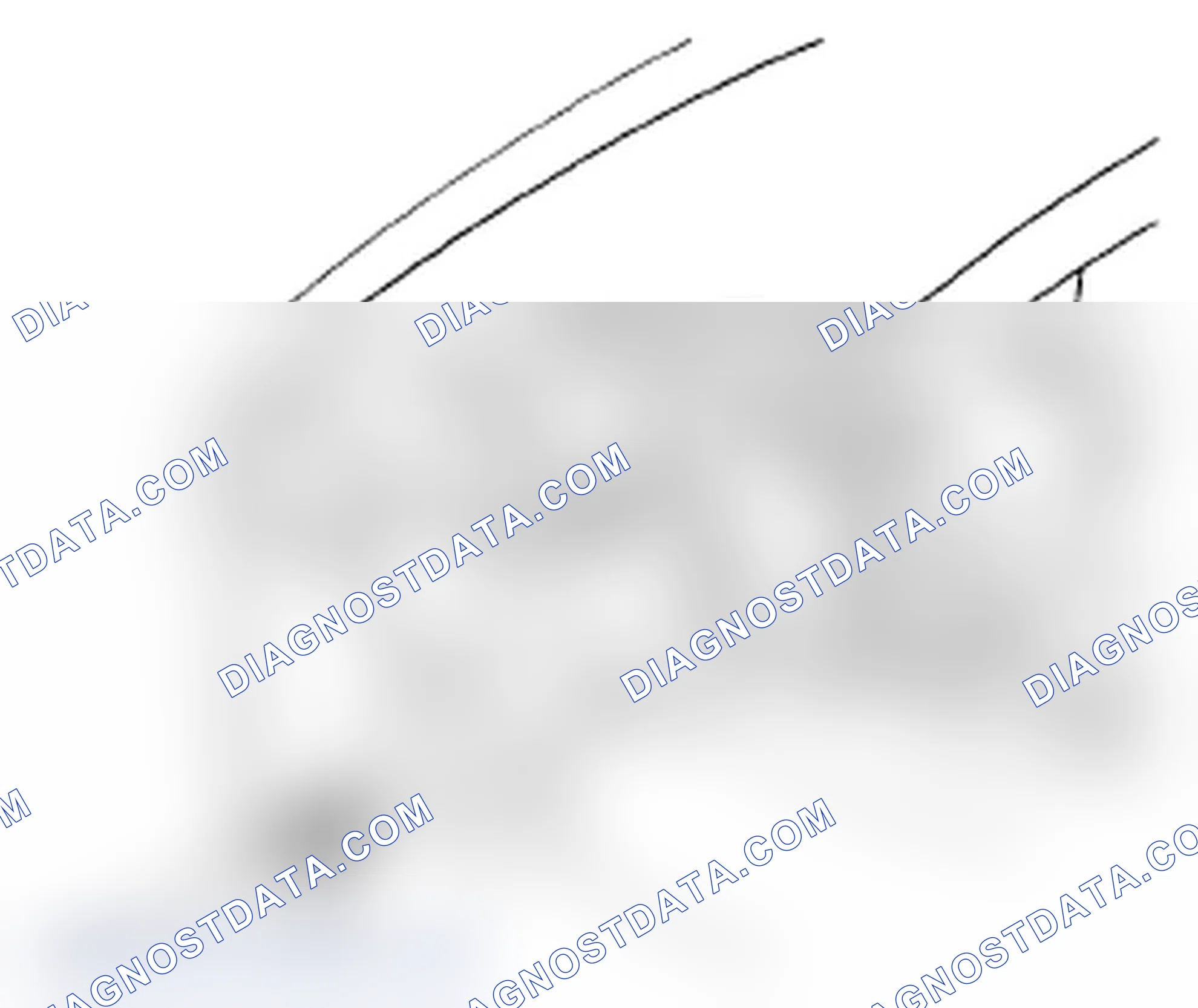 Scheme 19: Idle Speed Inspection