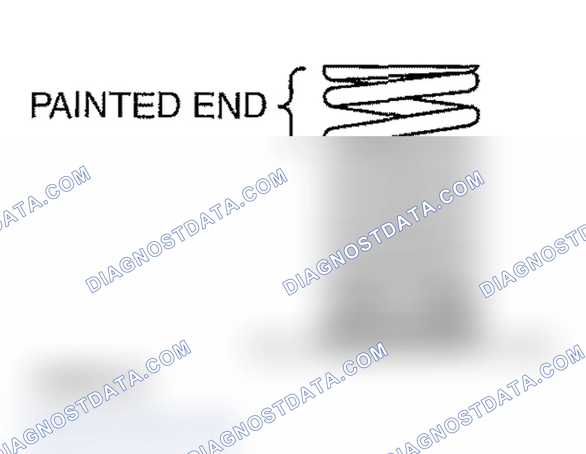 Scheme 1003: >> B << VALVE SPRING INSTALLATION