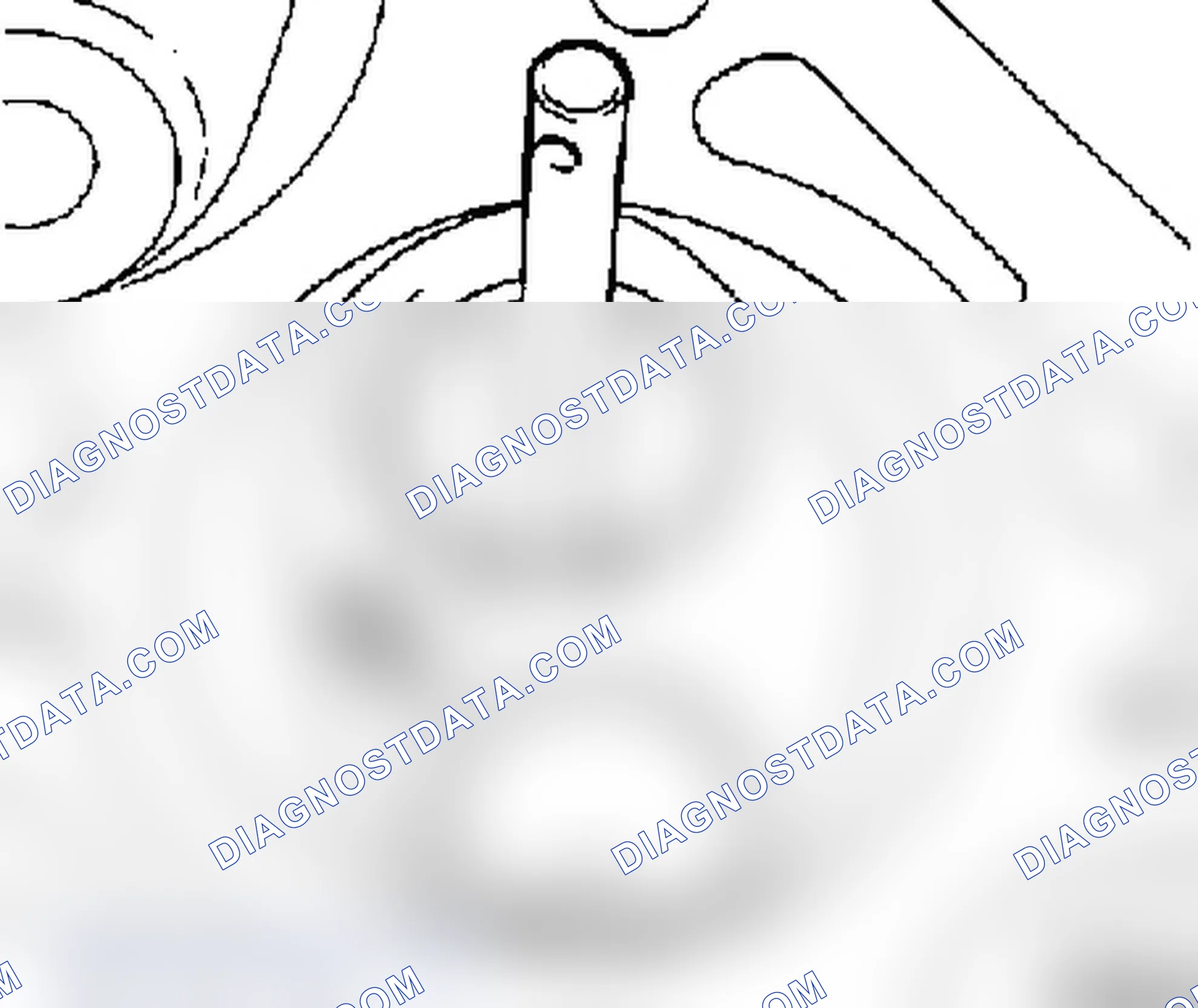 Valve Seat, Cut