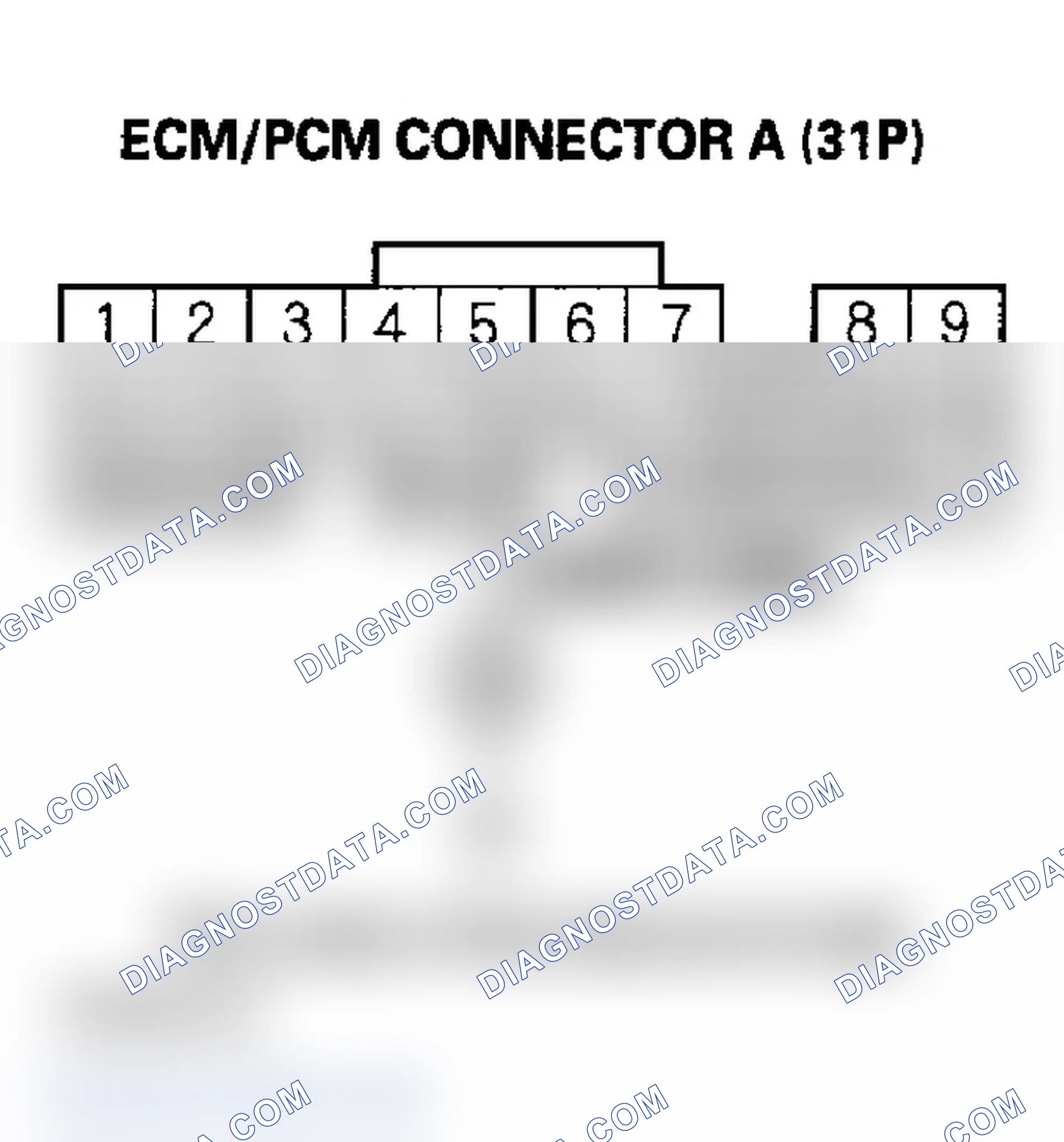 Scheme 146