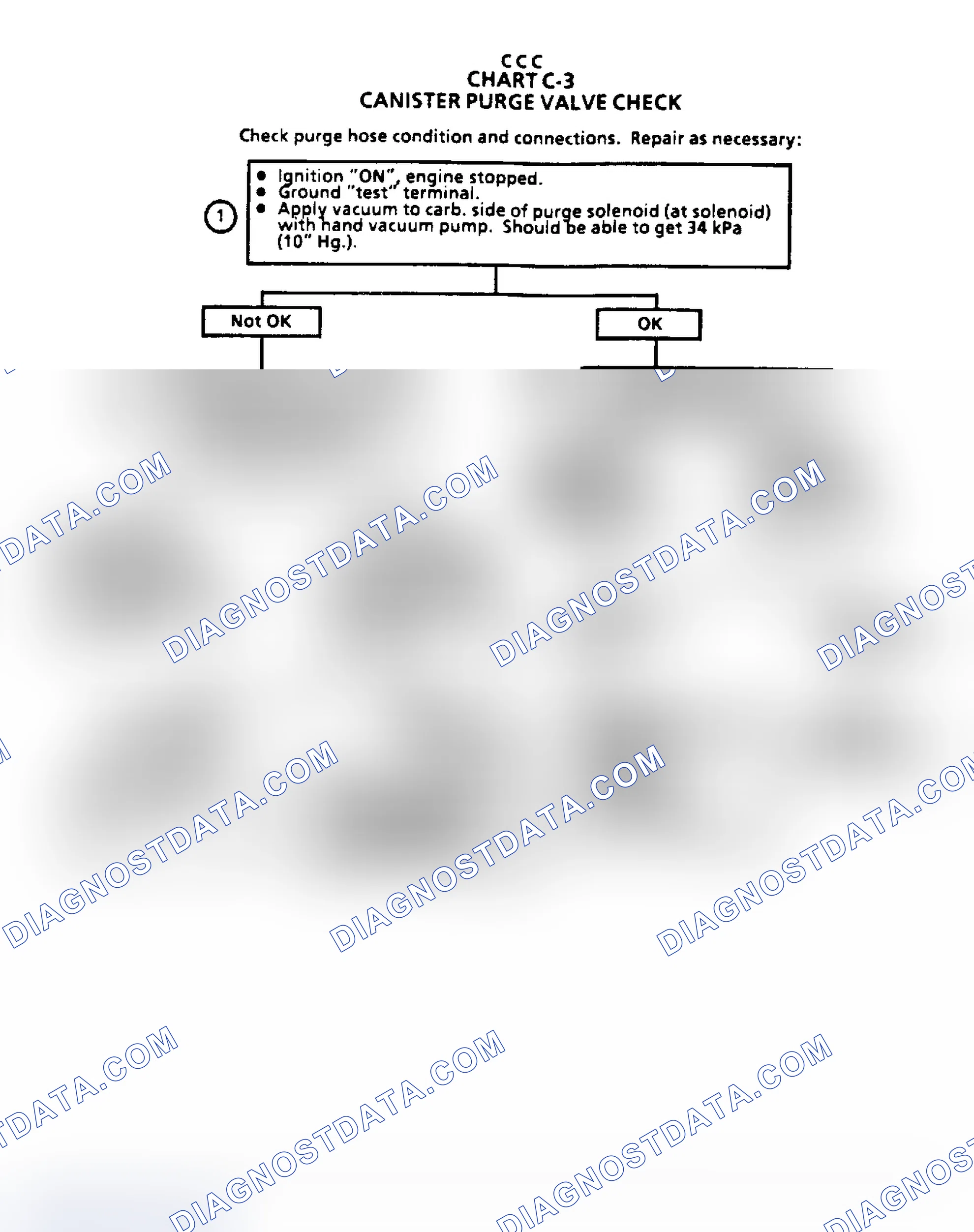 Scheme 138: Flow Chart C3 - Canister Purge Valve Check