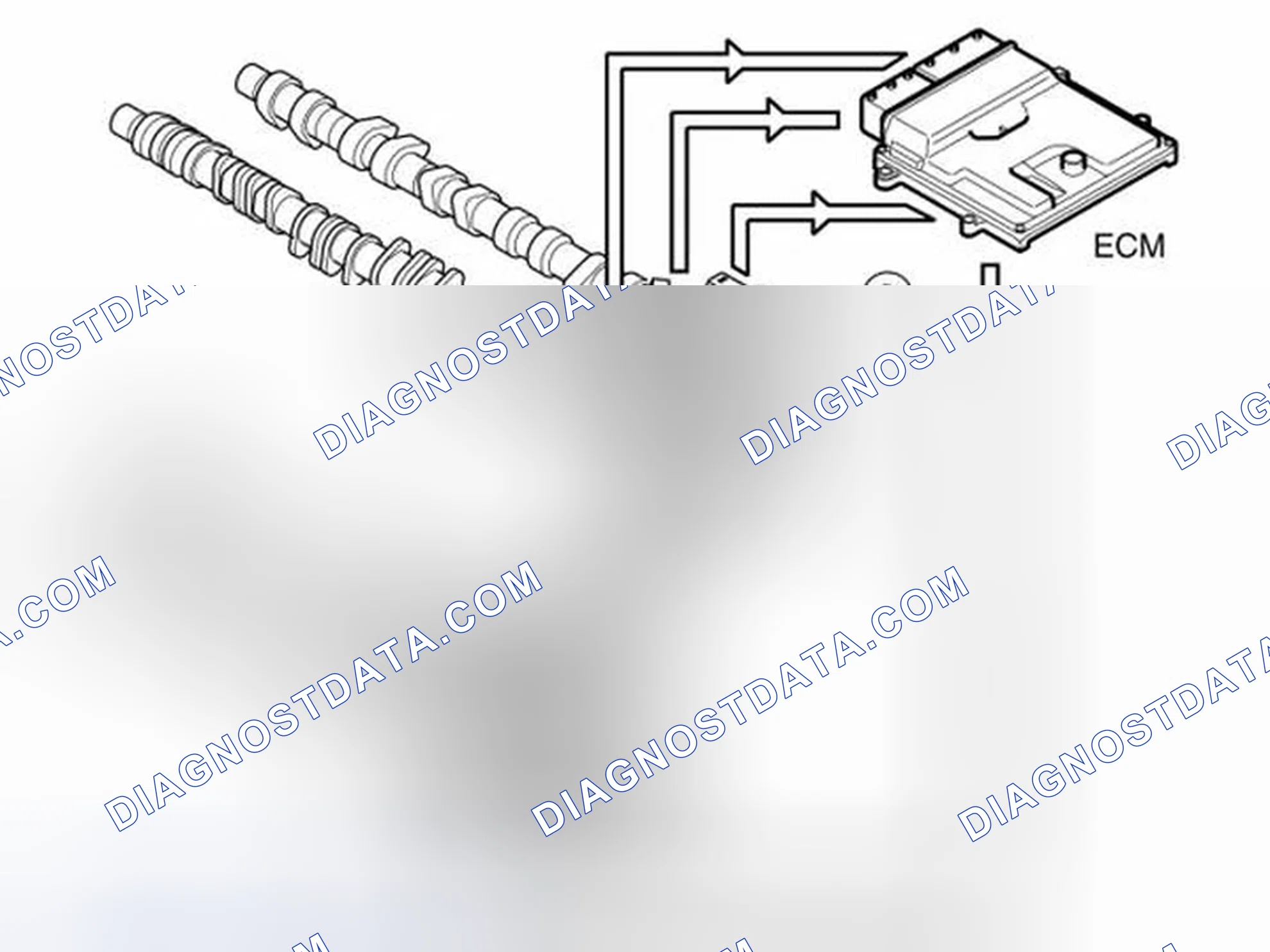 Scheme 193: CAMSHAFT CONTROL (CVVT)