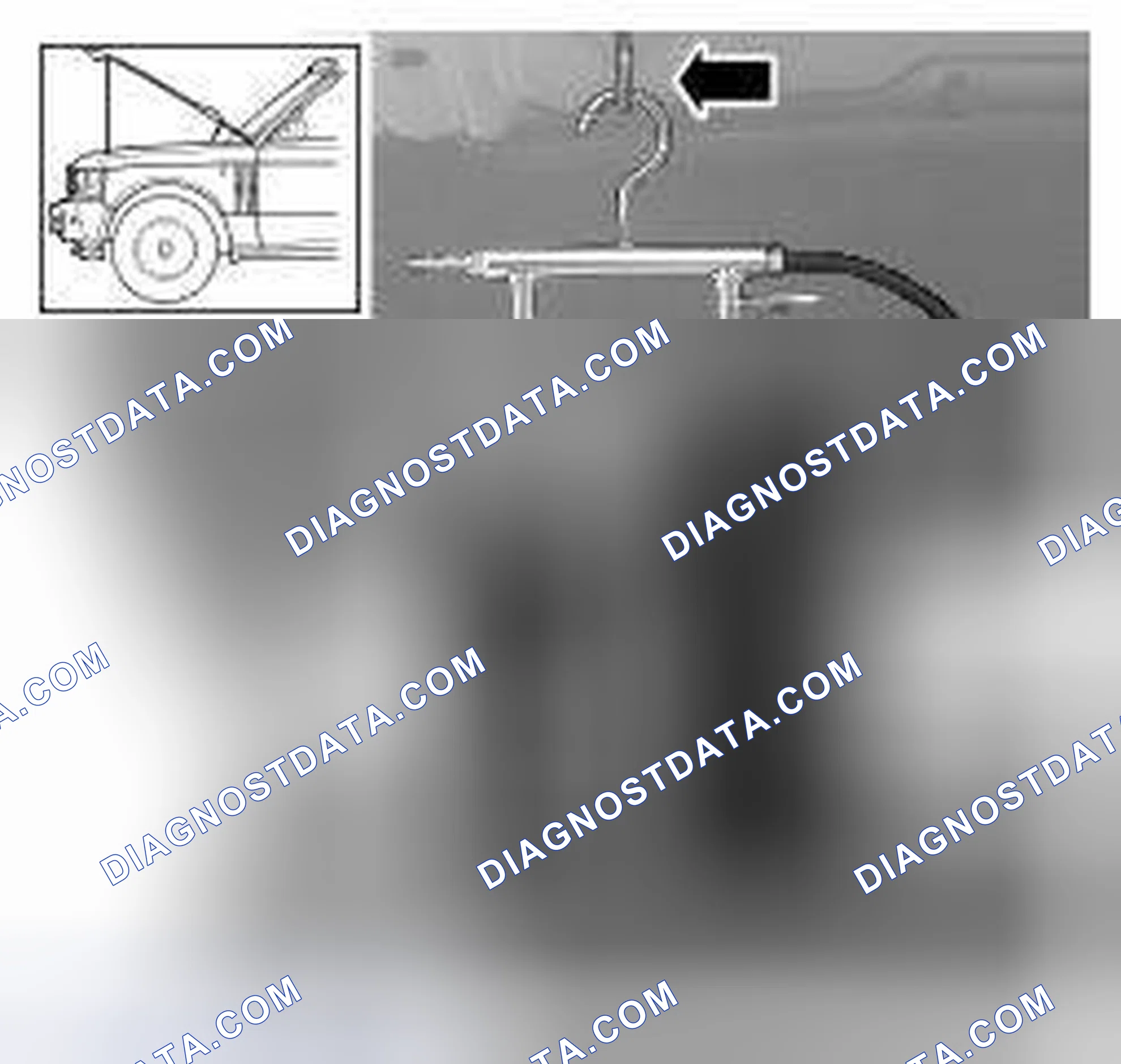 Scheme 517