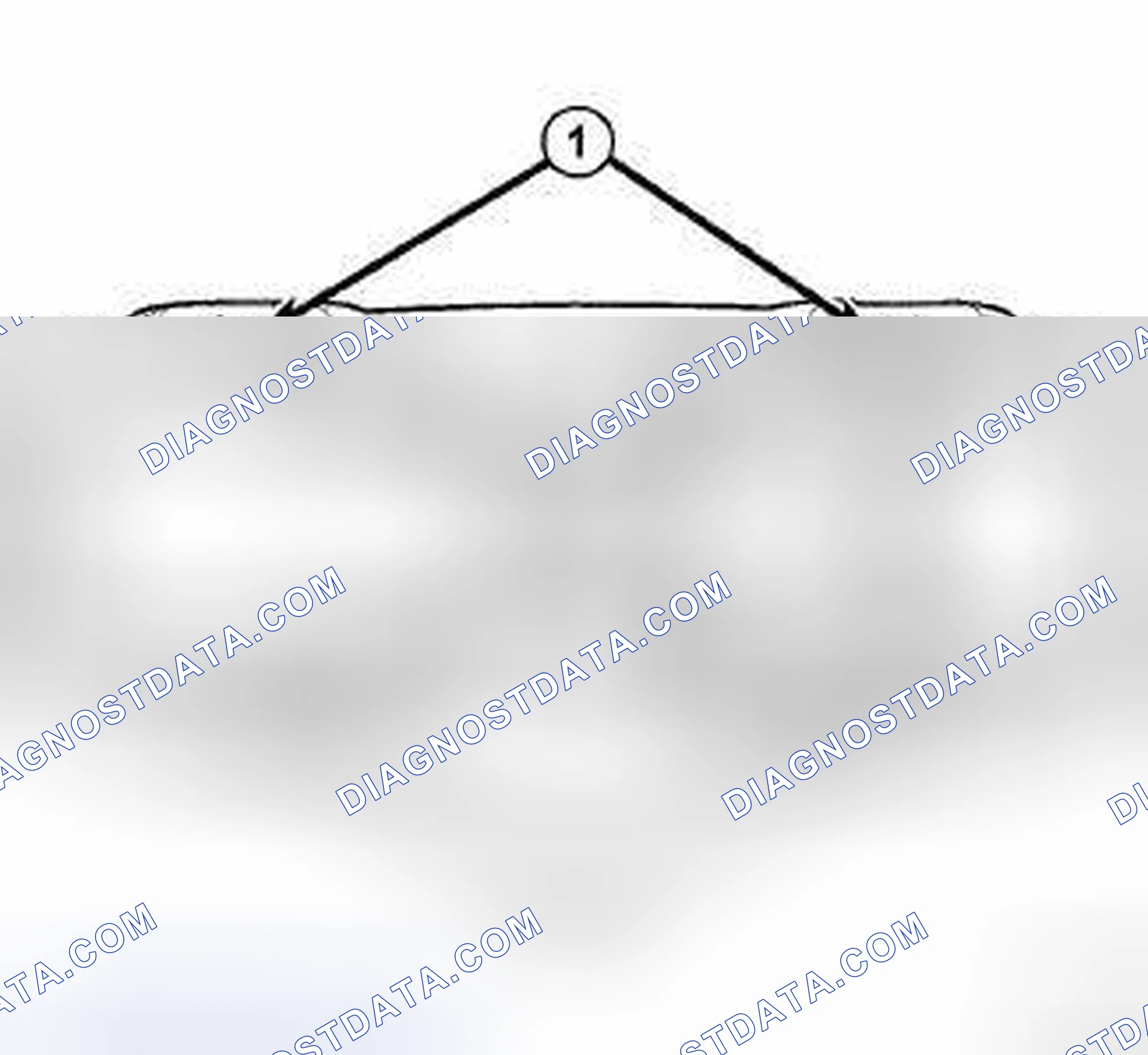 Scheme 2: STANDARD PROCEDURE - HOISTING