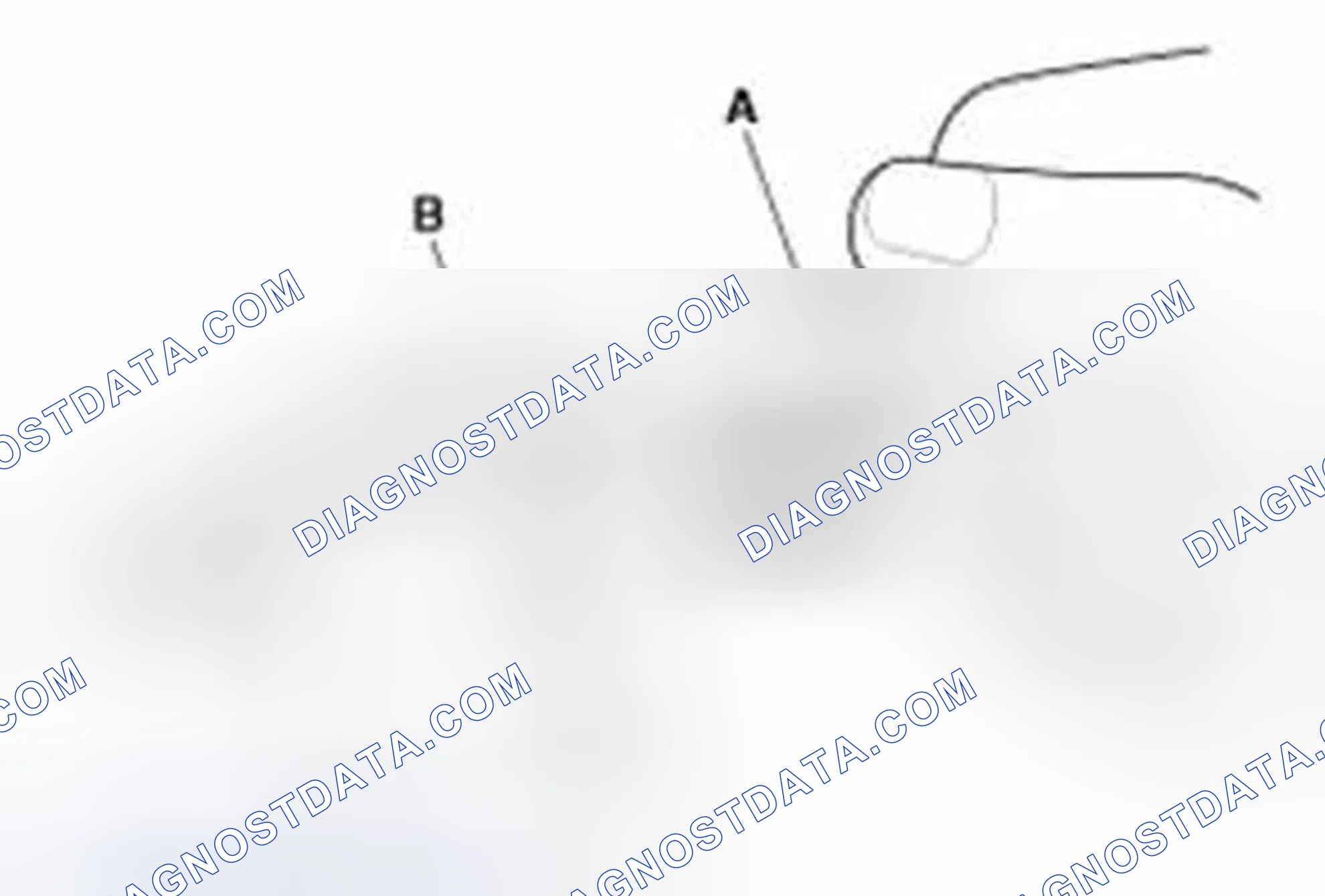 Scheme 20: Inspection