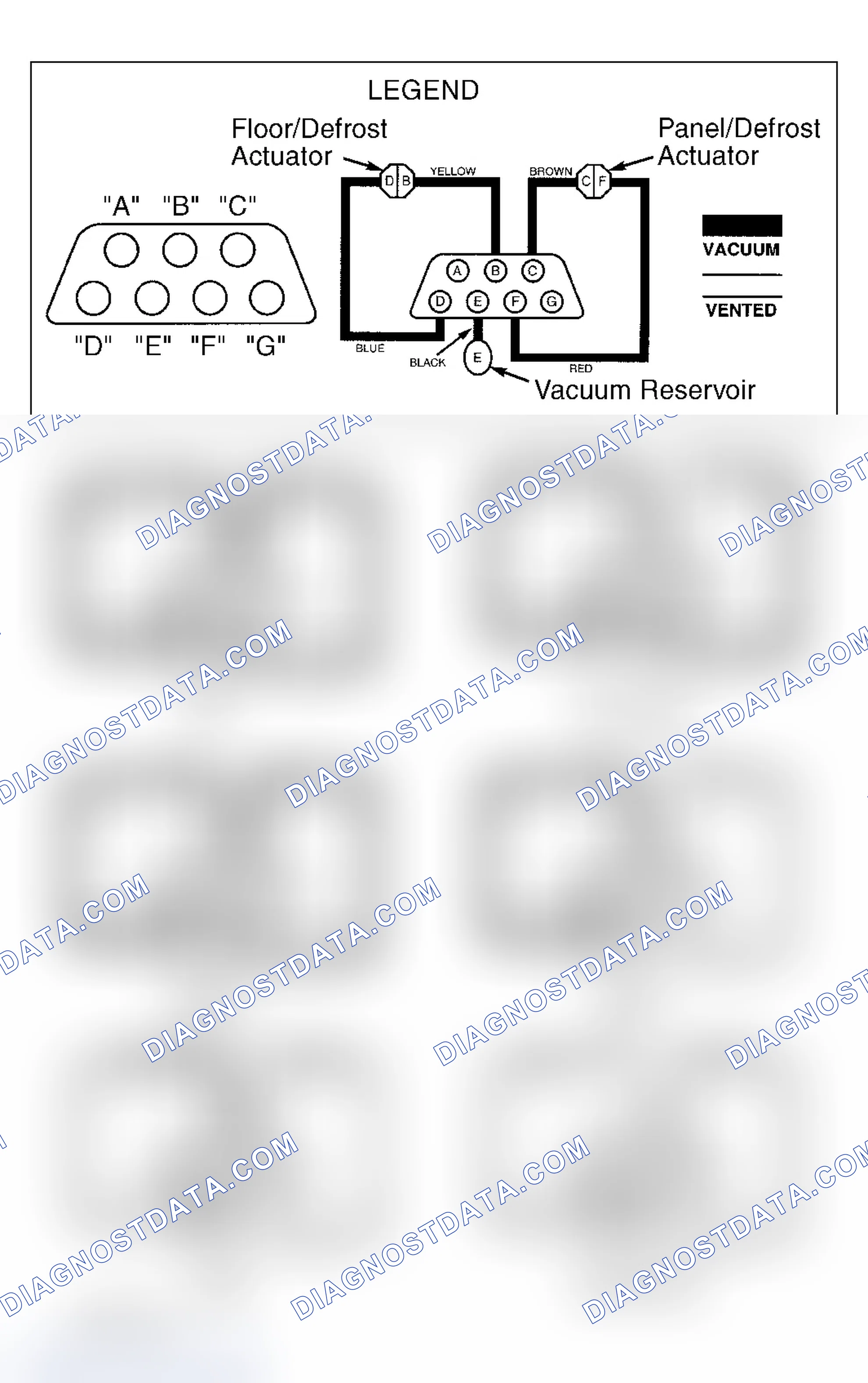 Scheme 1: VACUUM HOSE DIAGRAM(S)