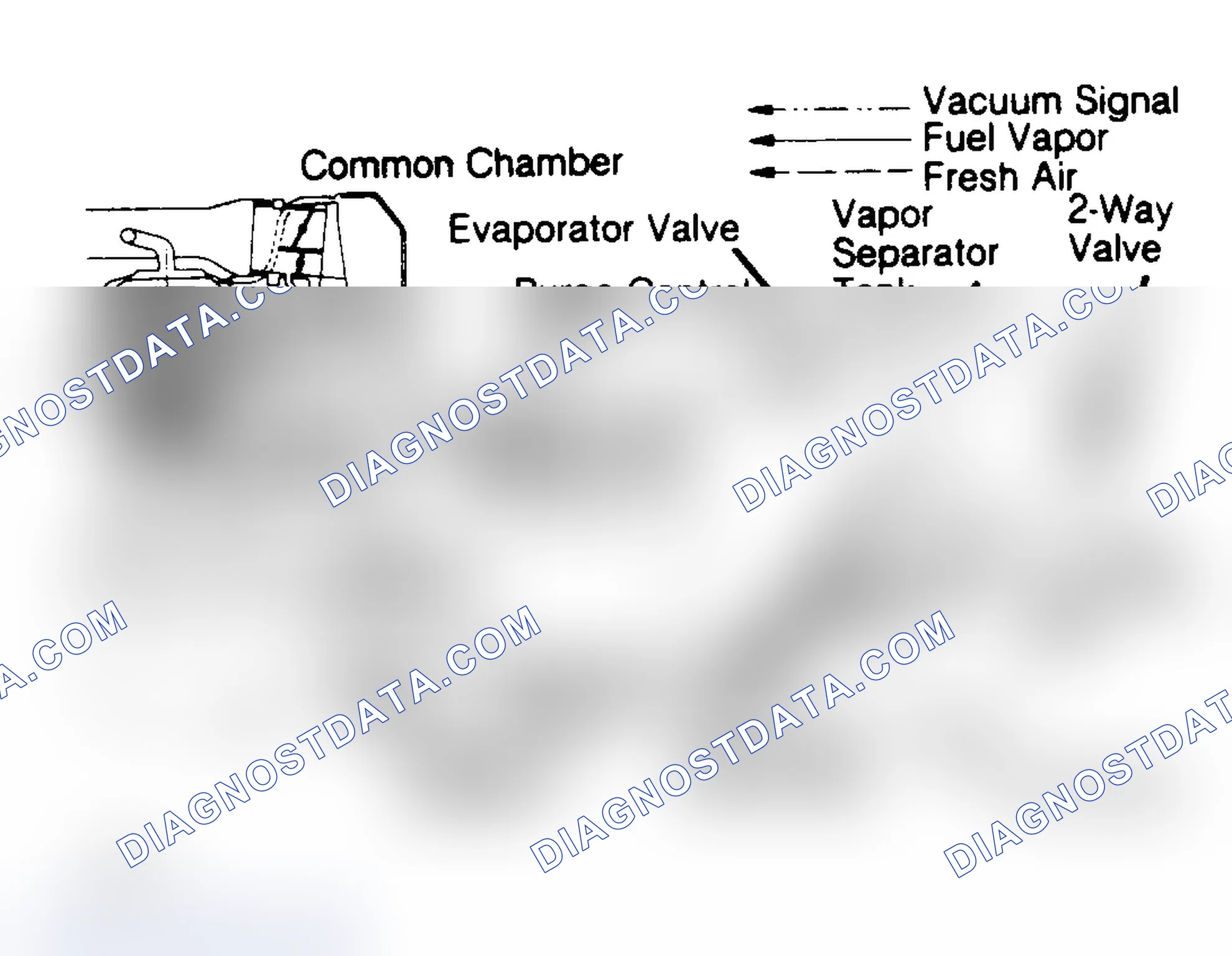 Fig. 1: Fuel Evaporation System (1.9L & 2.0L Turbo)
