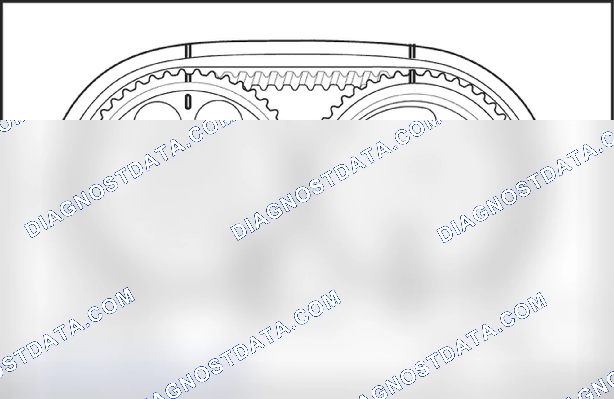Timing Belt Replace