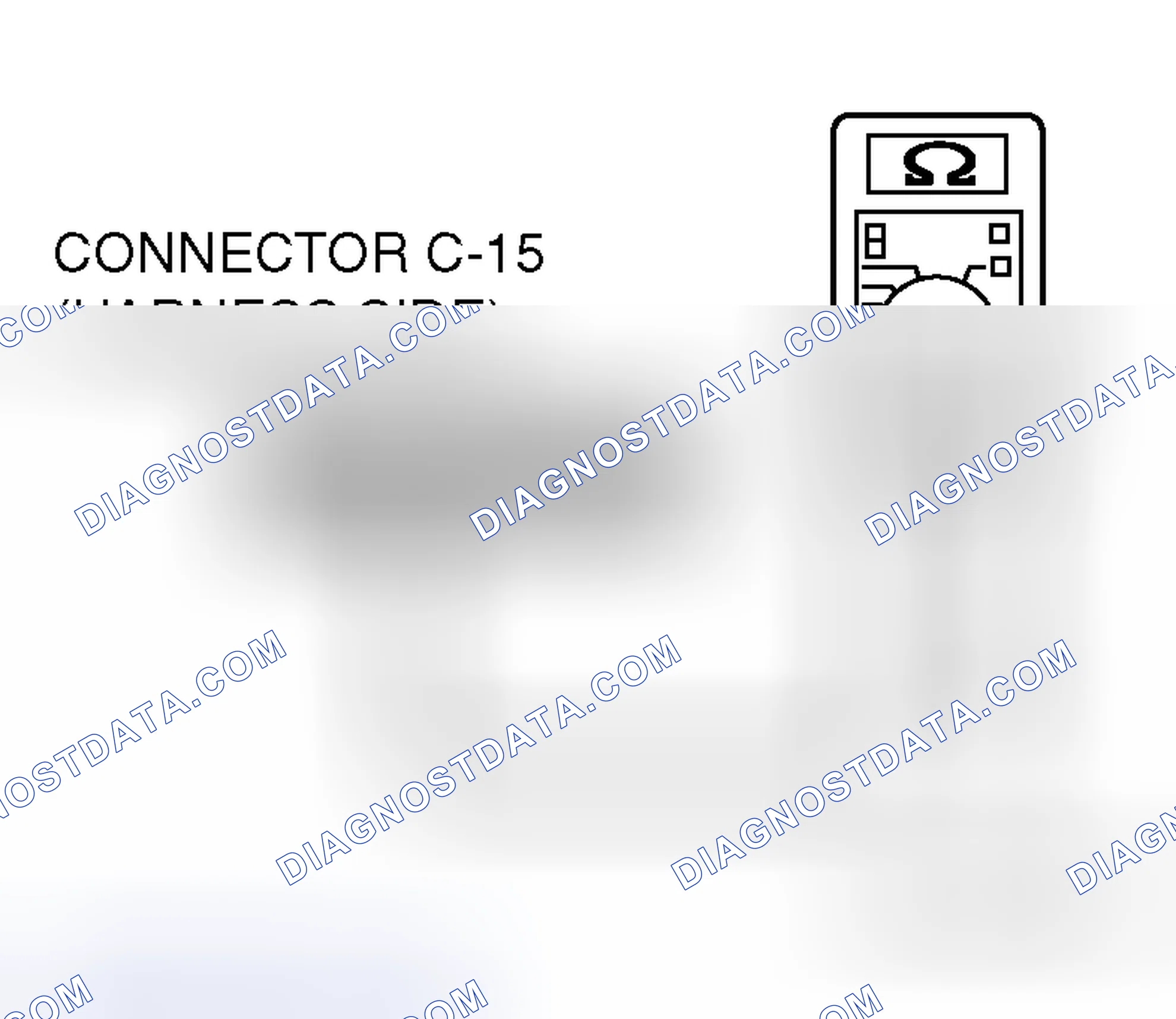 Scheme 307