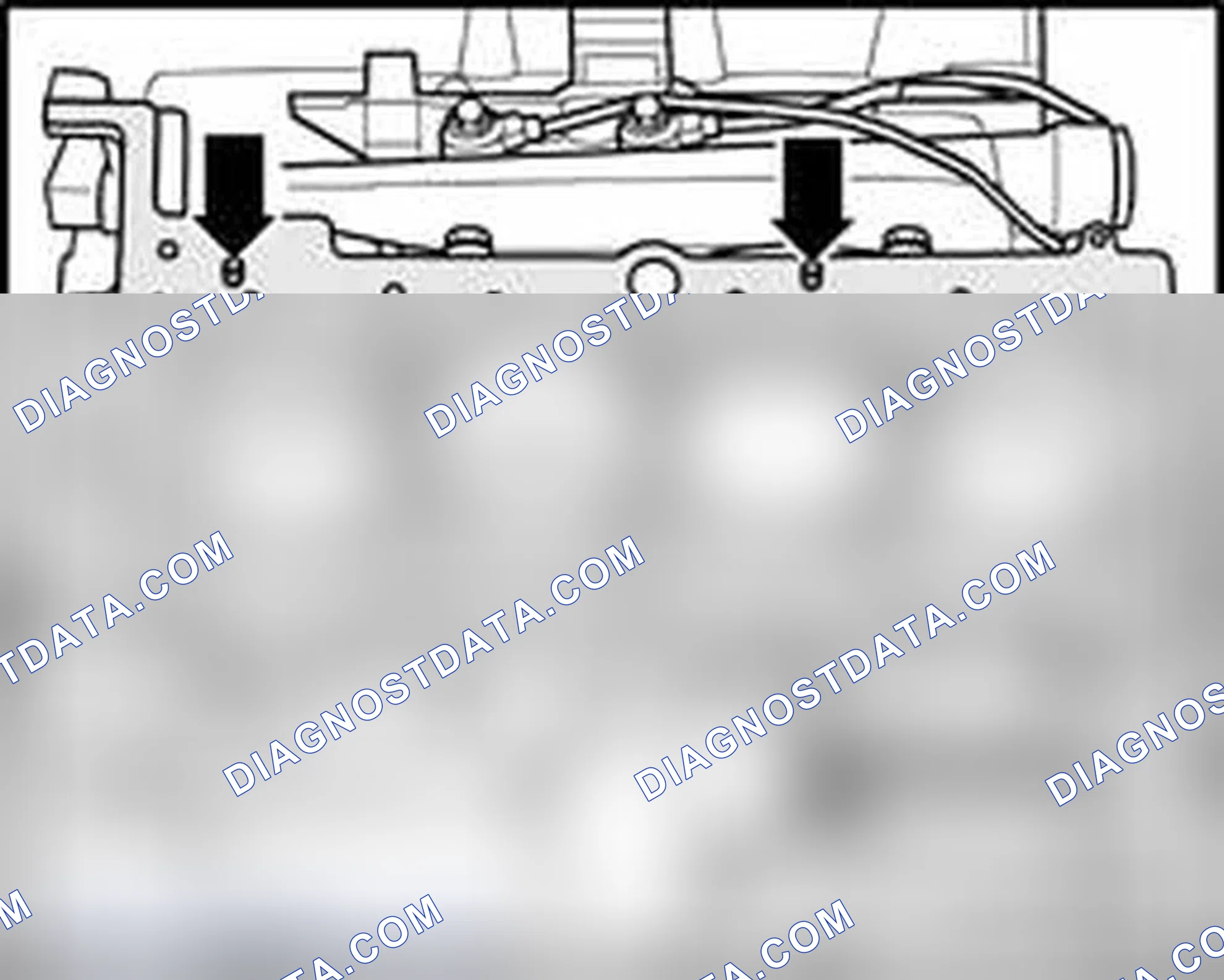 Scheme 541