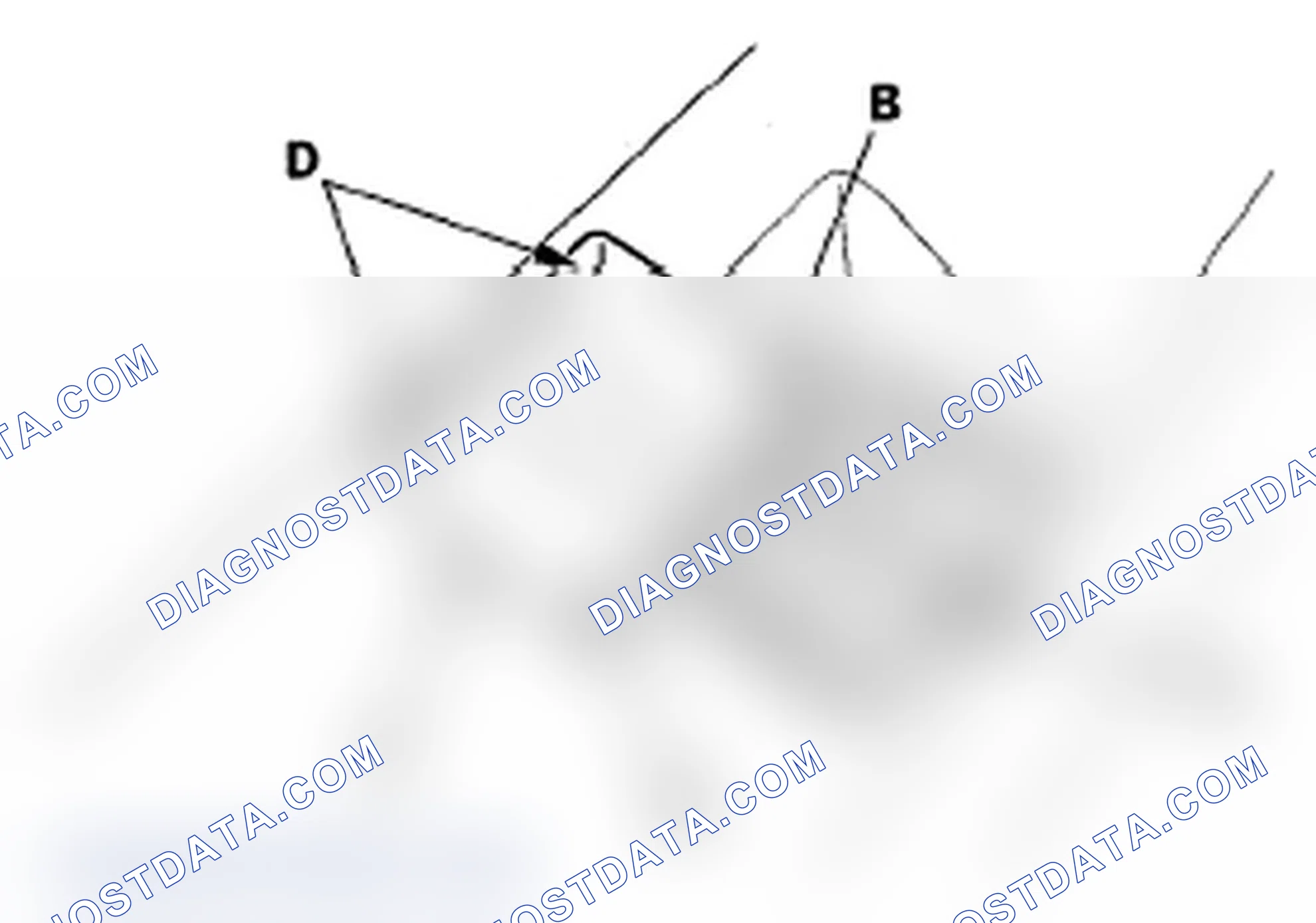 Scheme 103: Tailgate Adjustment