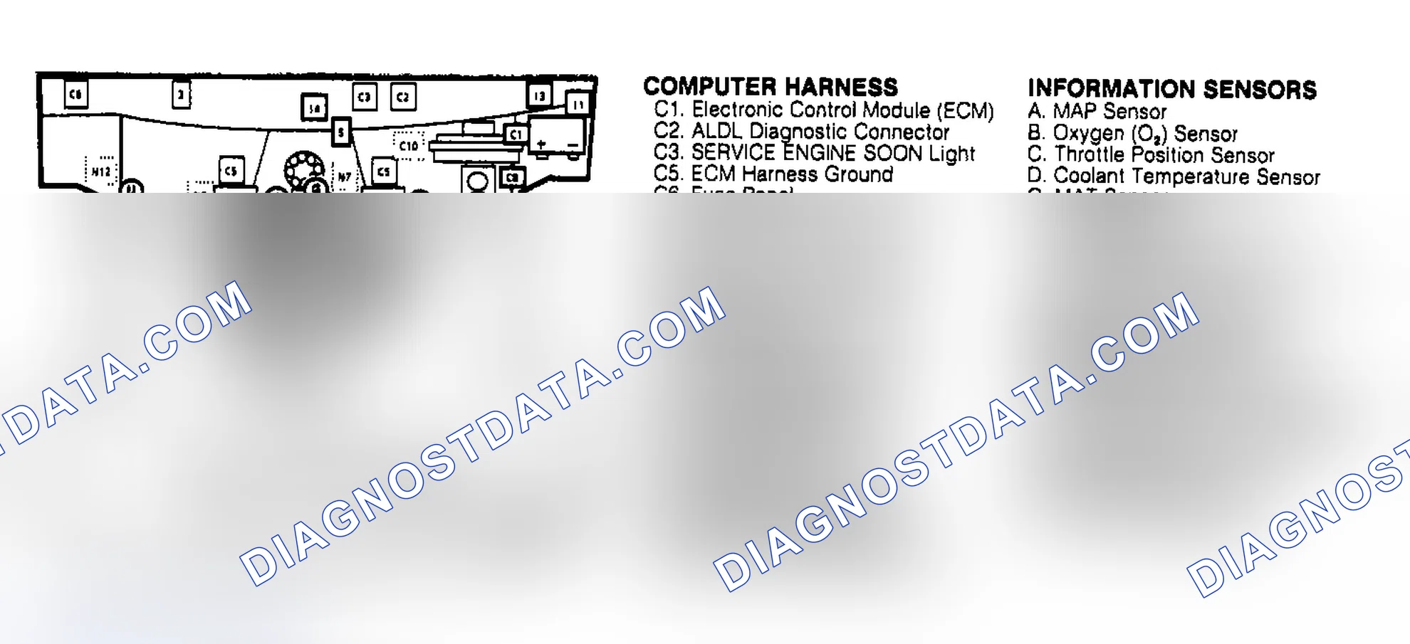 Scheme 244