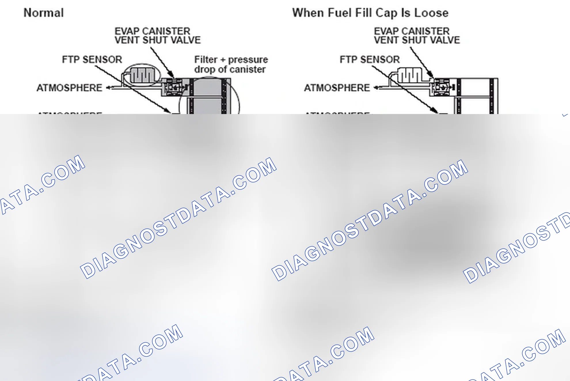 Scheme 255: DTC P0457: Evaporative Emission (EVAP) System Leak Detected/Fuel Fill Cap Loose or Missing