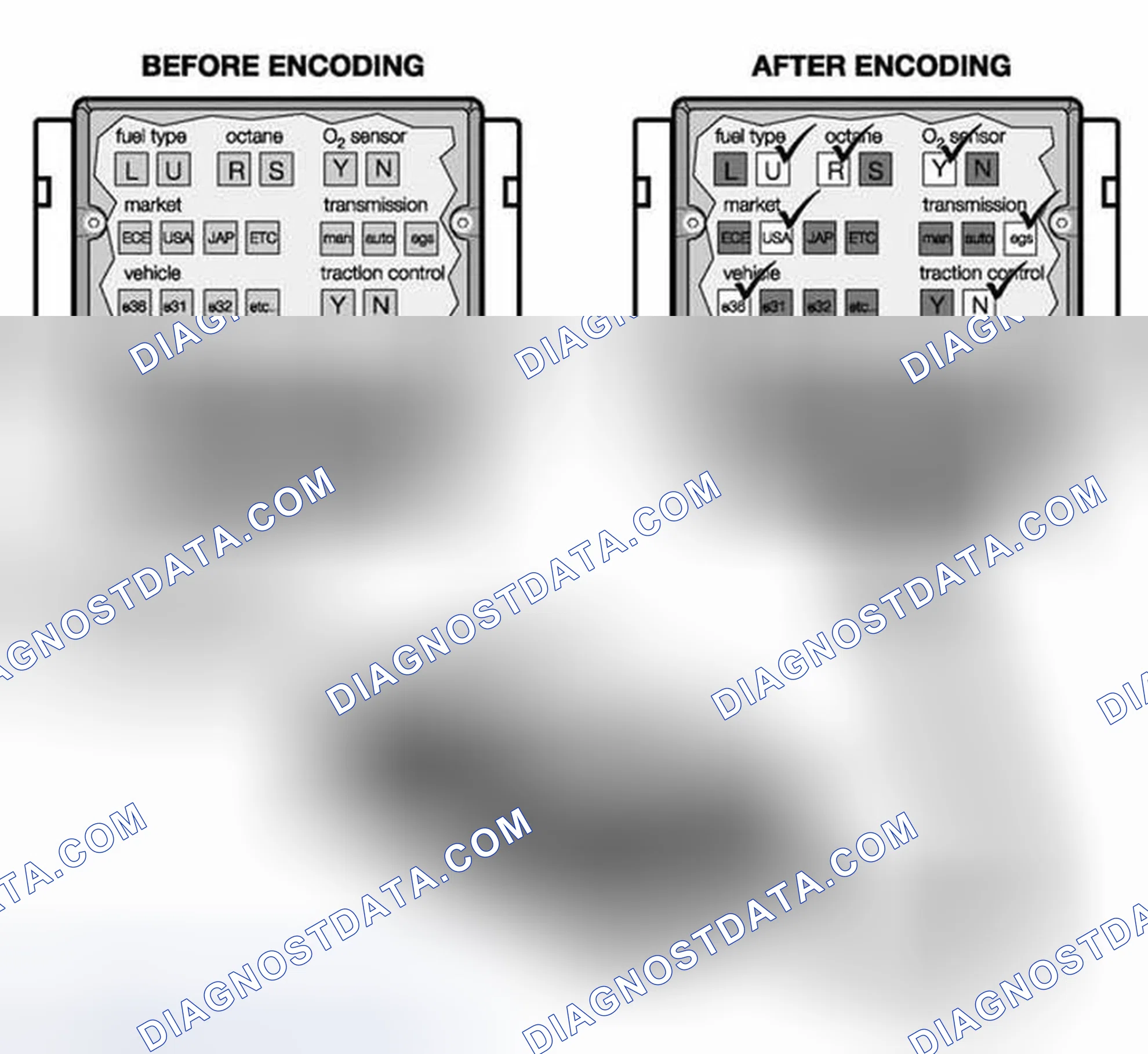 Scheme 131: Coding