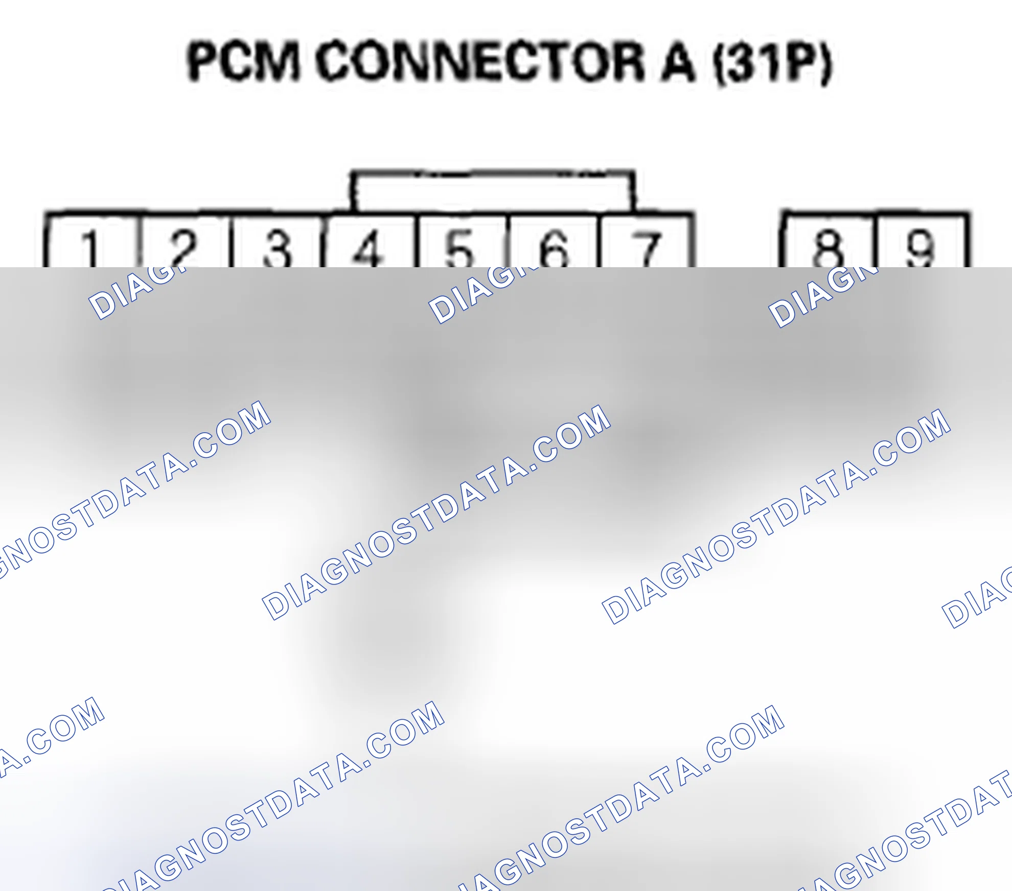 Scheme 316