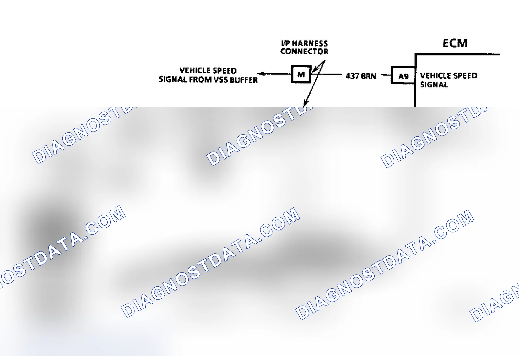 Scheme 316