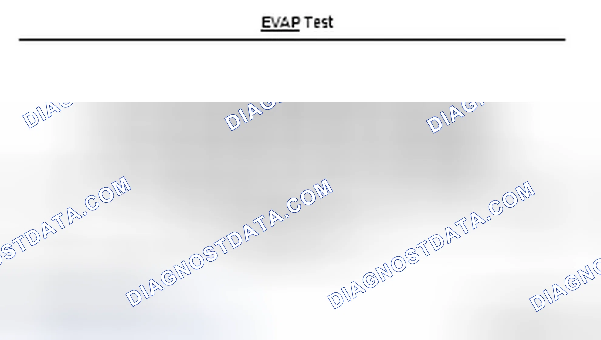 Scheme 12: EVAP System Test Description