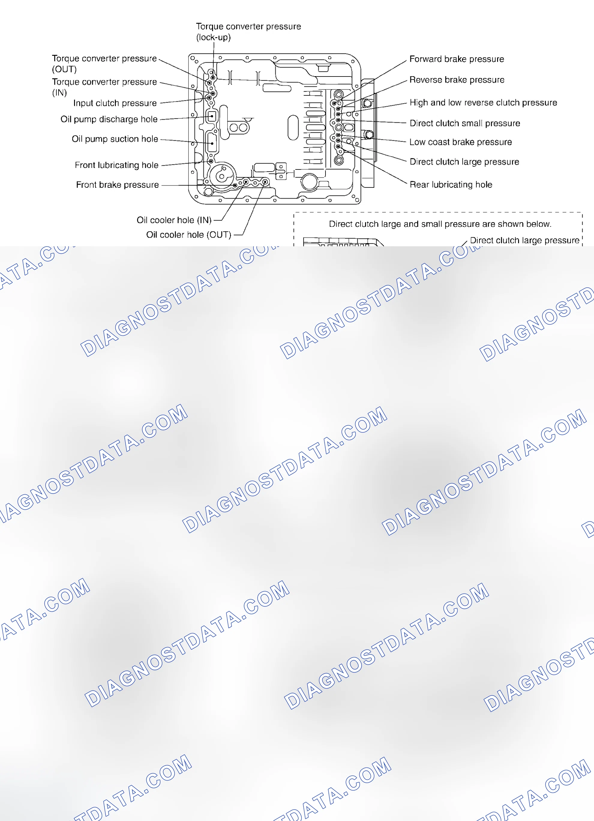 Scheme 217