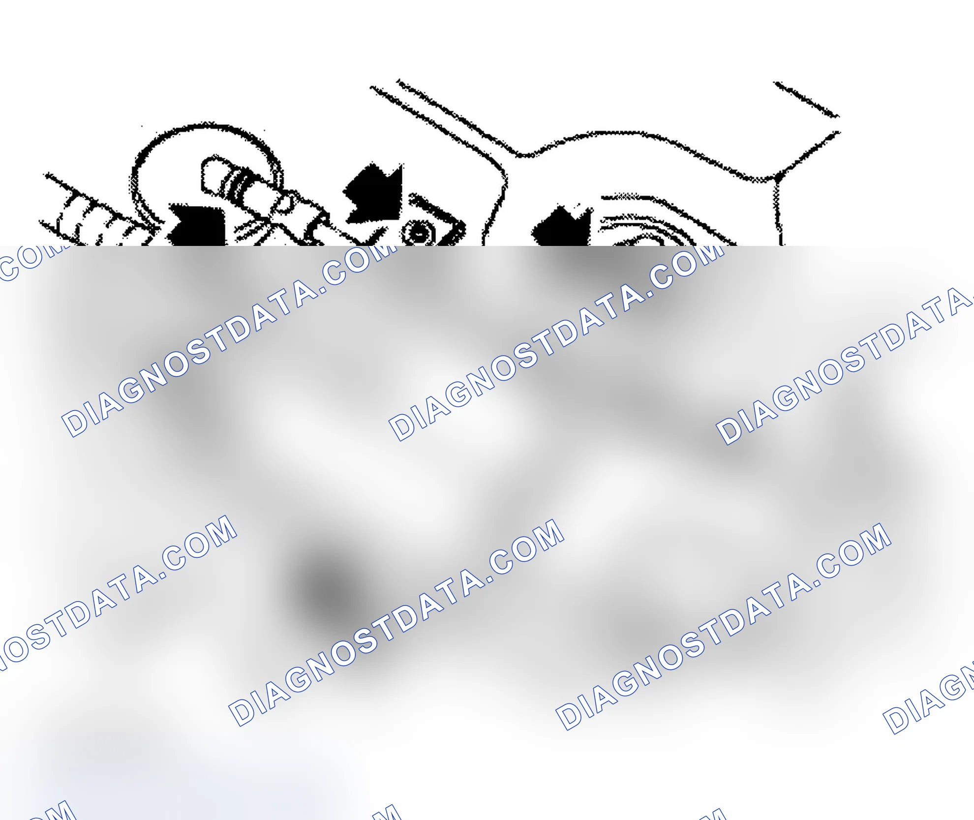 Scheme 19
