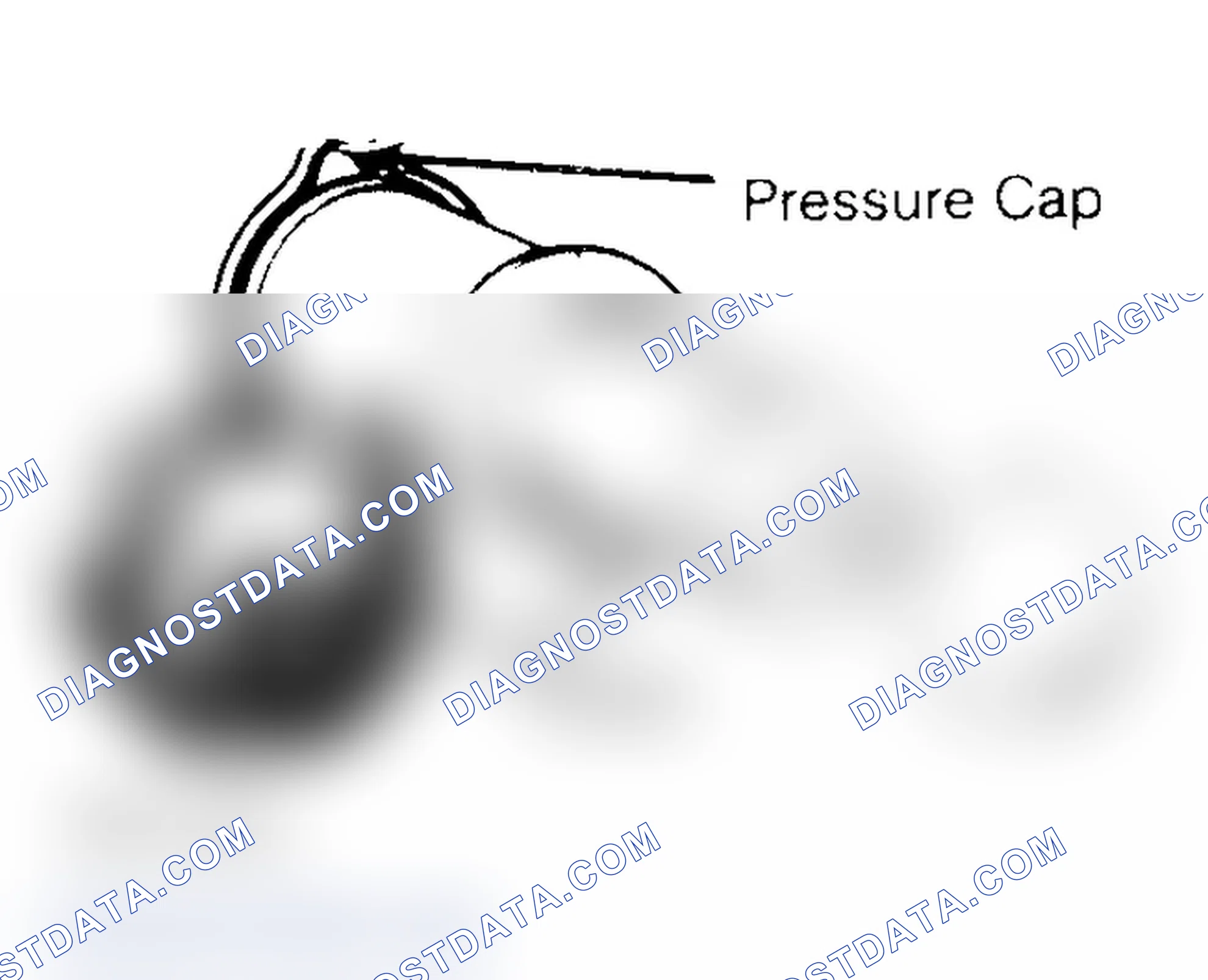 Scheme 2: Pressure Testing Radiator Cap