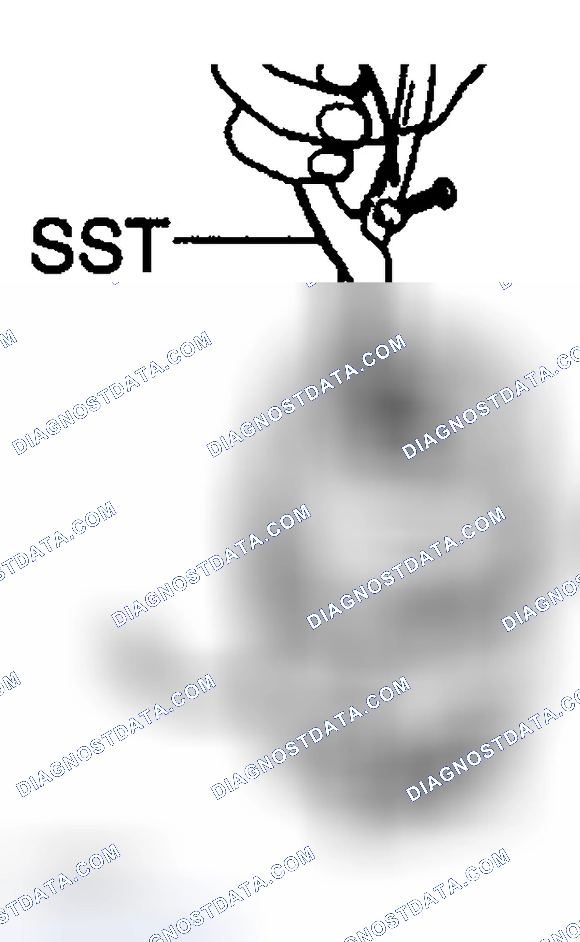 Scheme 223