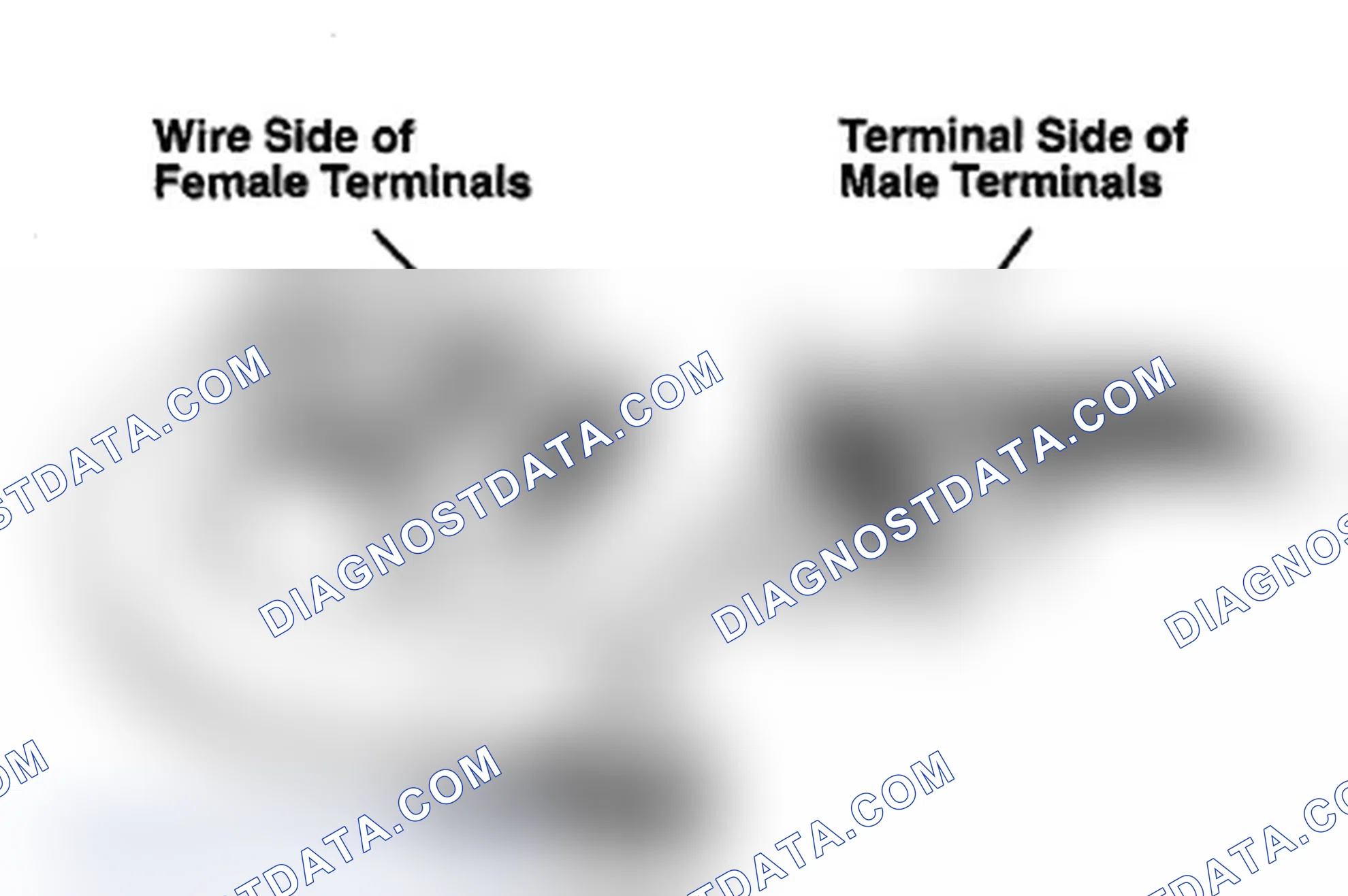 Scheme 386: Data Link Connector Terminals (200)