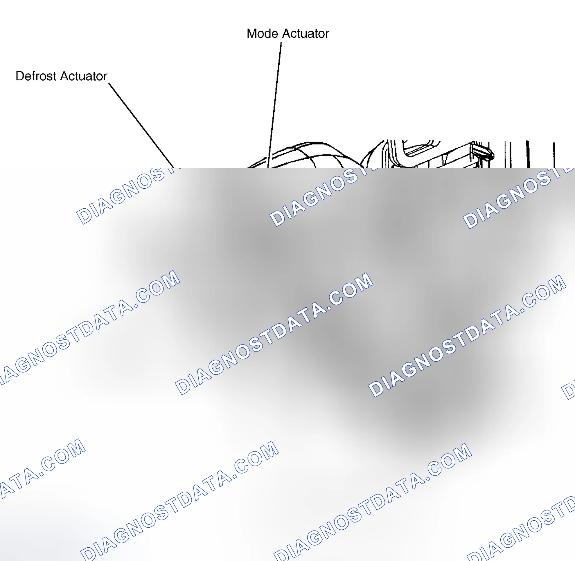 Scheme 5
